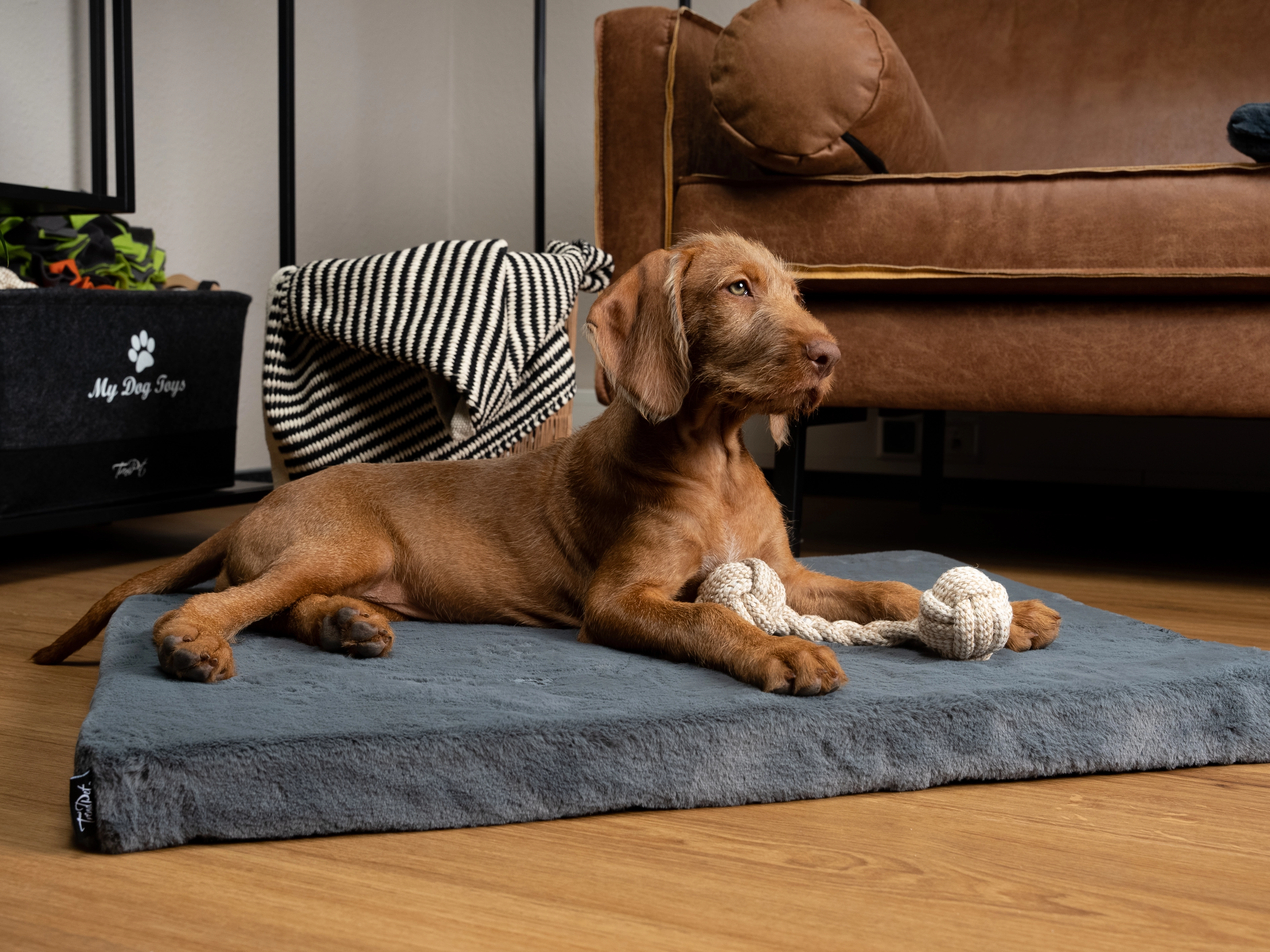 VitaMedog Matratze von TrendPet