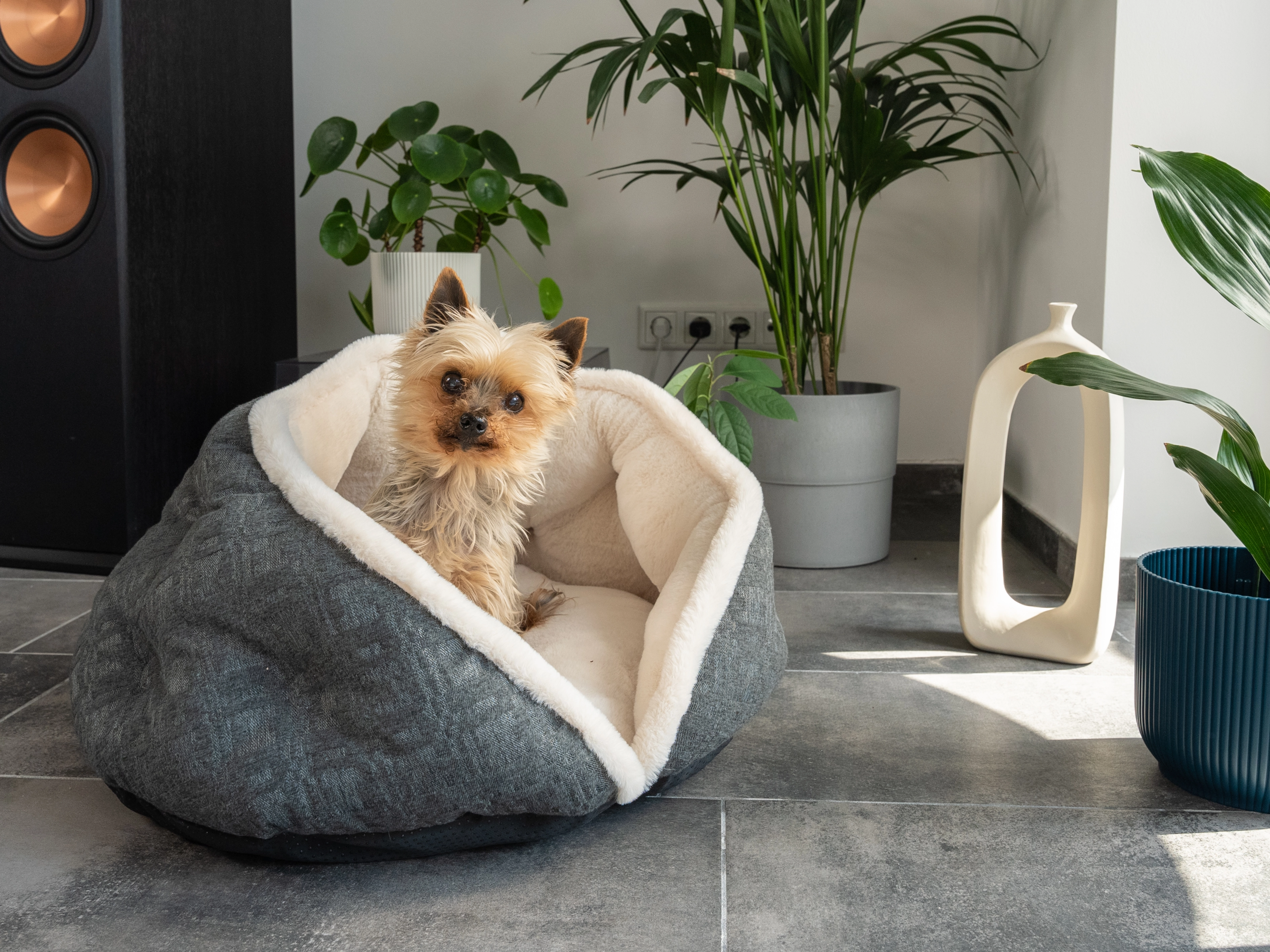 LunaNest von TrendPet