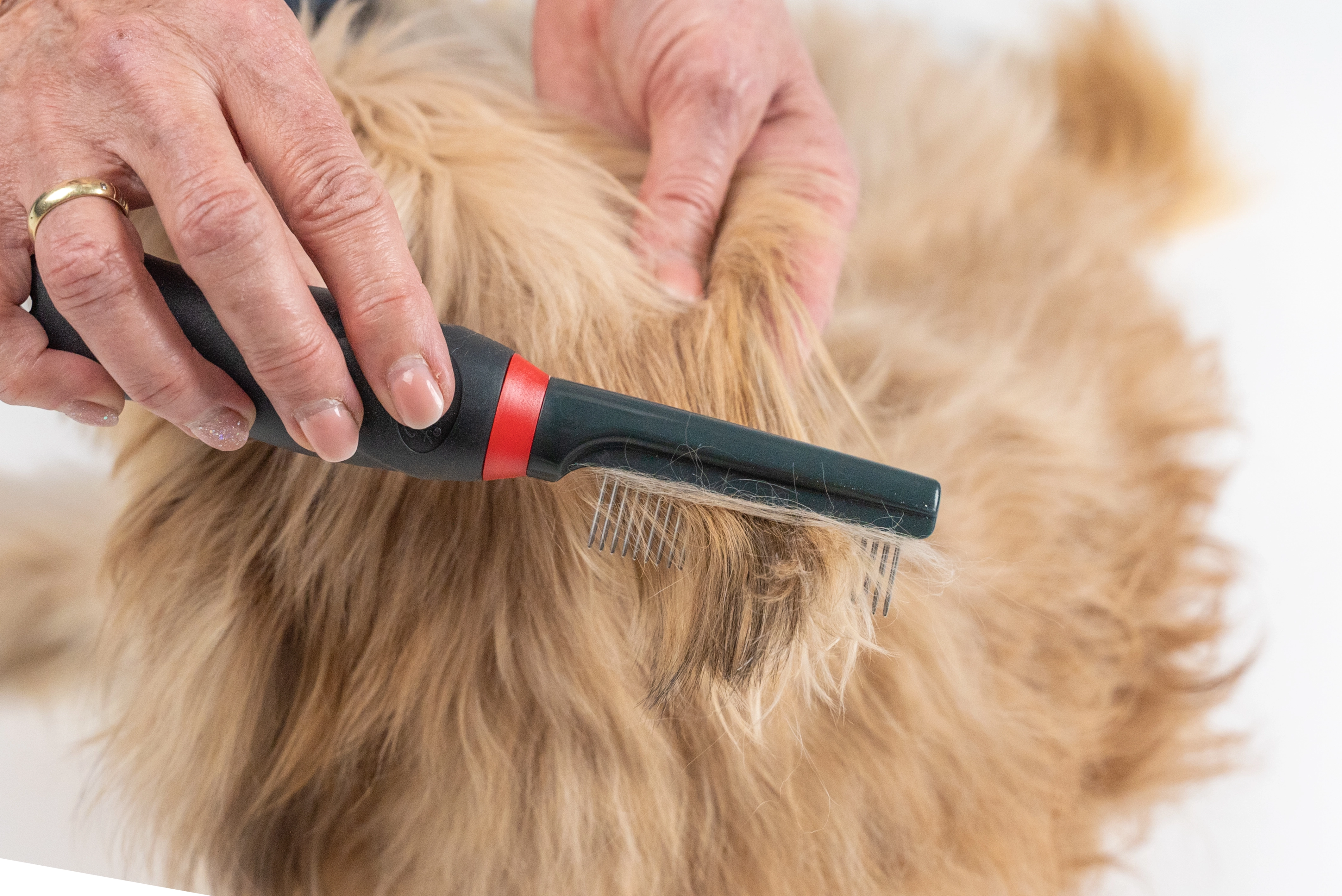 TrendPet Hundepflege Hundebuerste