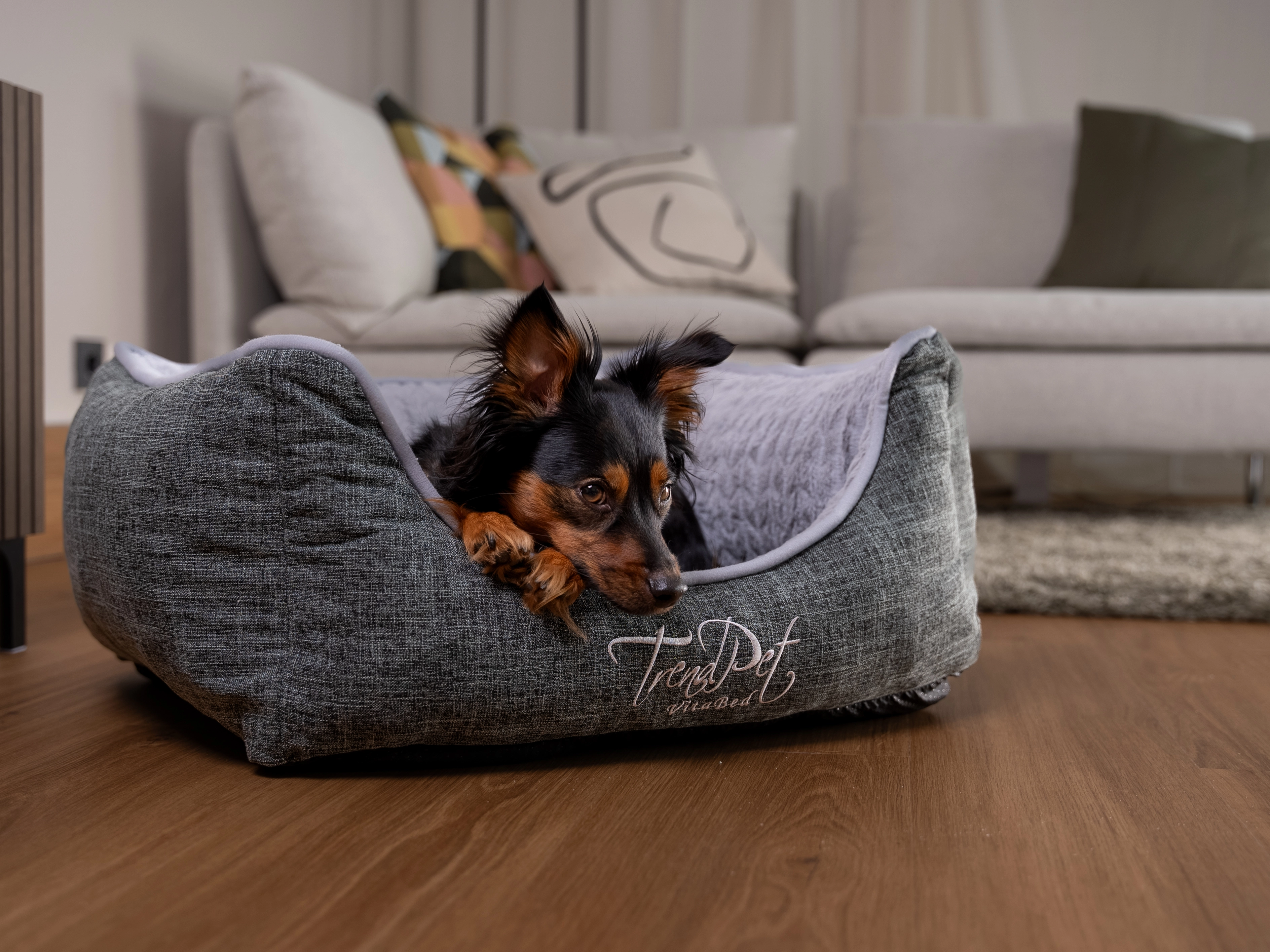 Hund liegt im VitaBed classic von TrendPet
