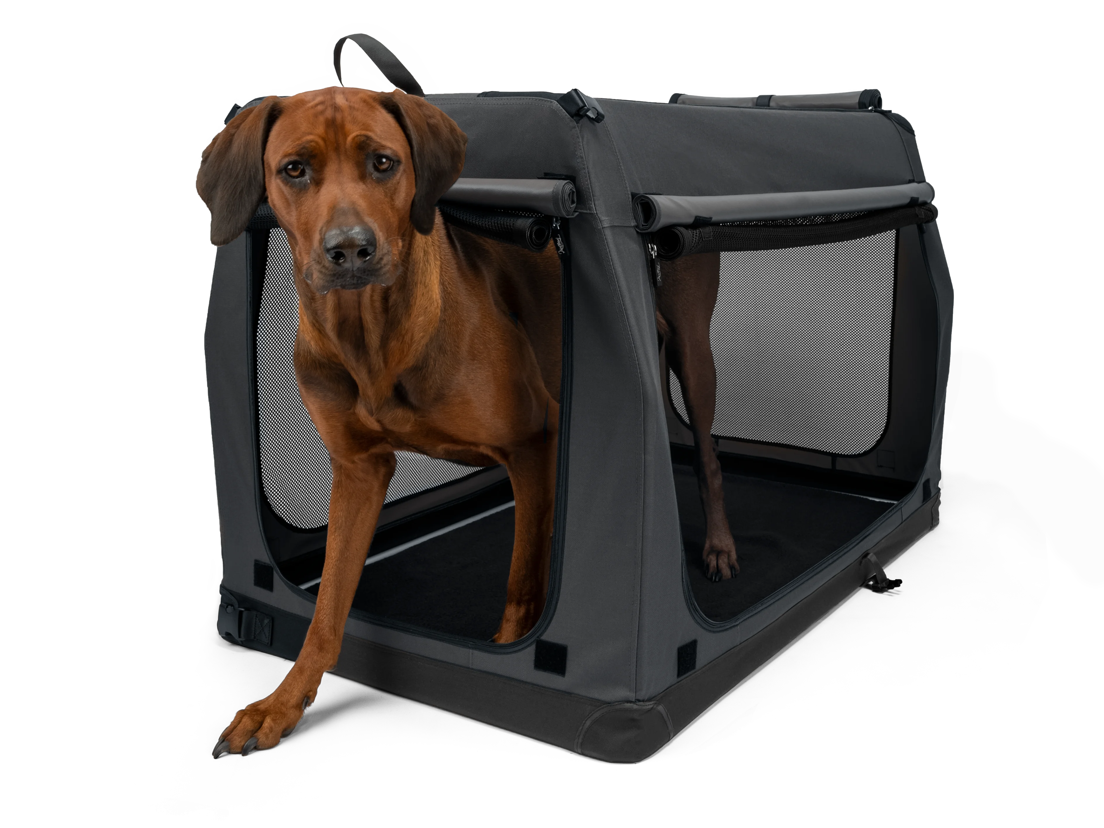 TPX-Hundebox von TrendPet