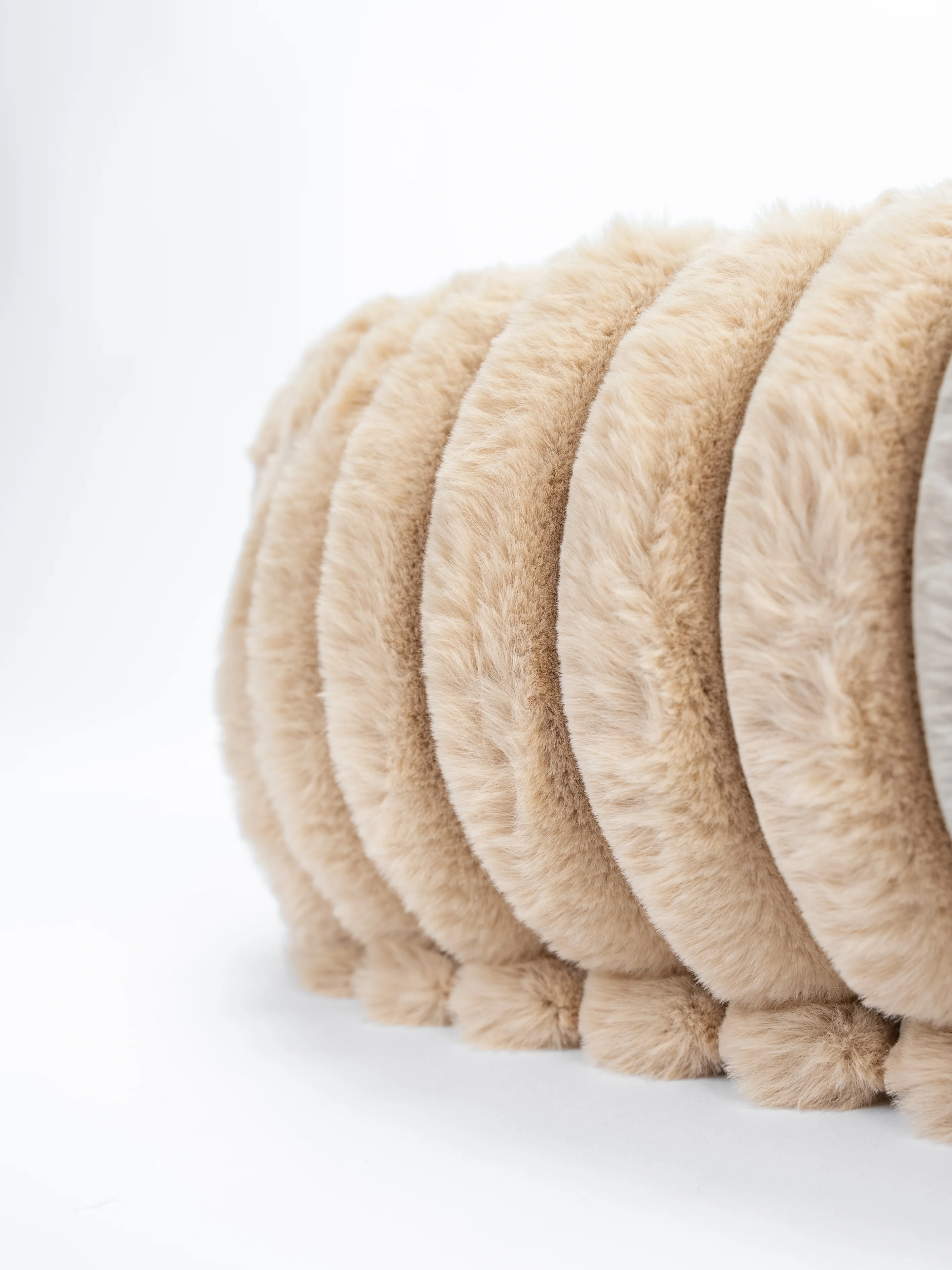 Biscuit Cube von TrendPet