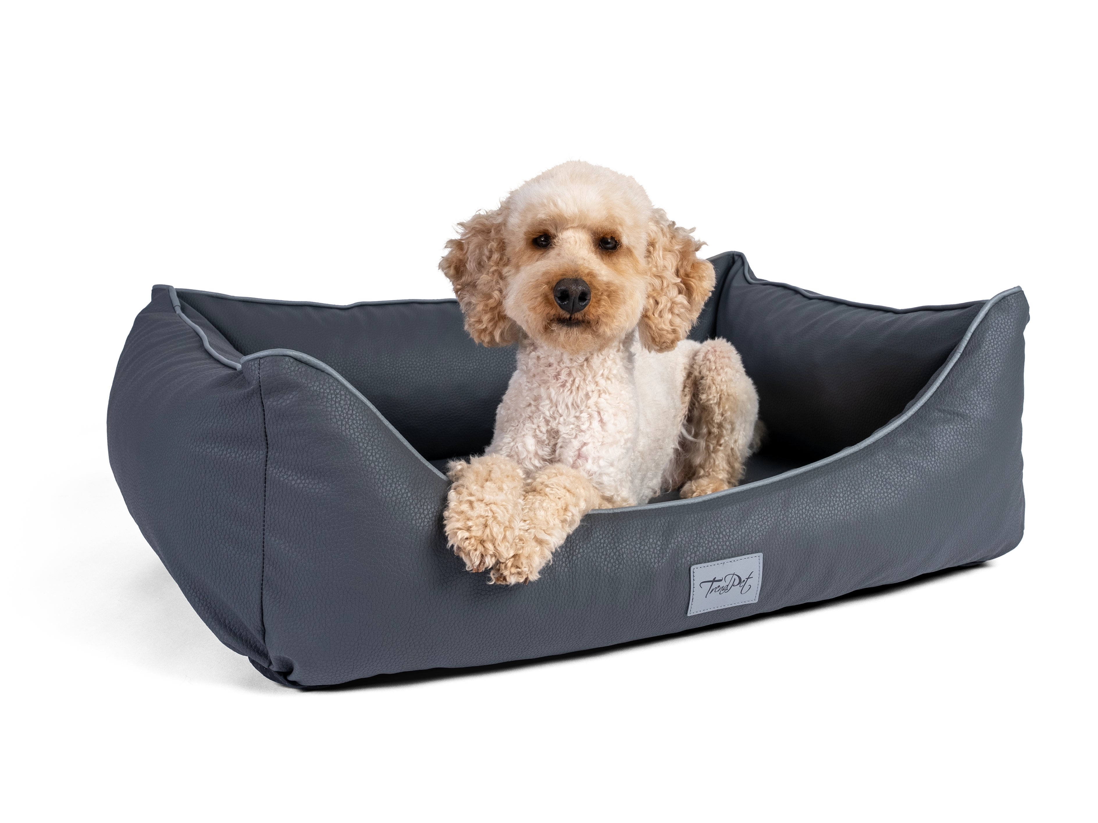 Hund liegt im TrendPet Bett Runa