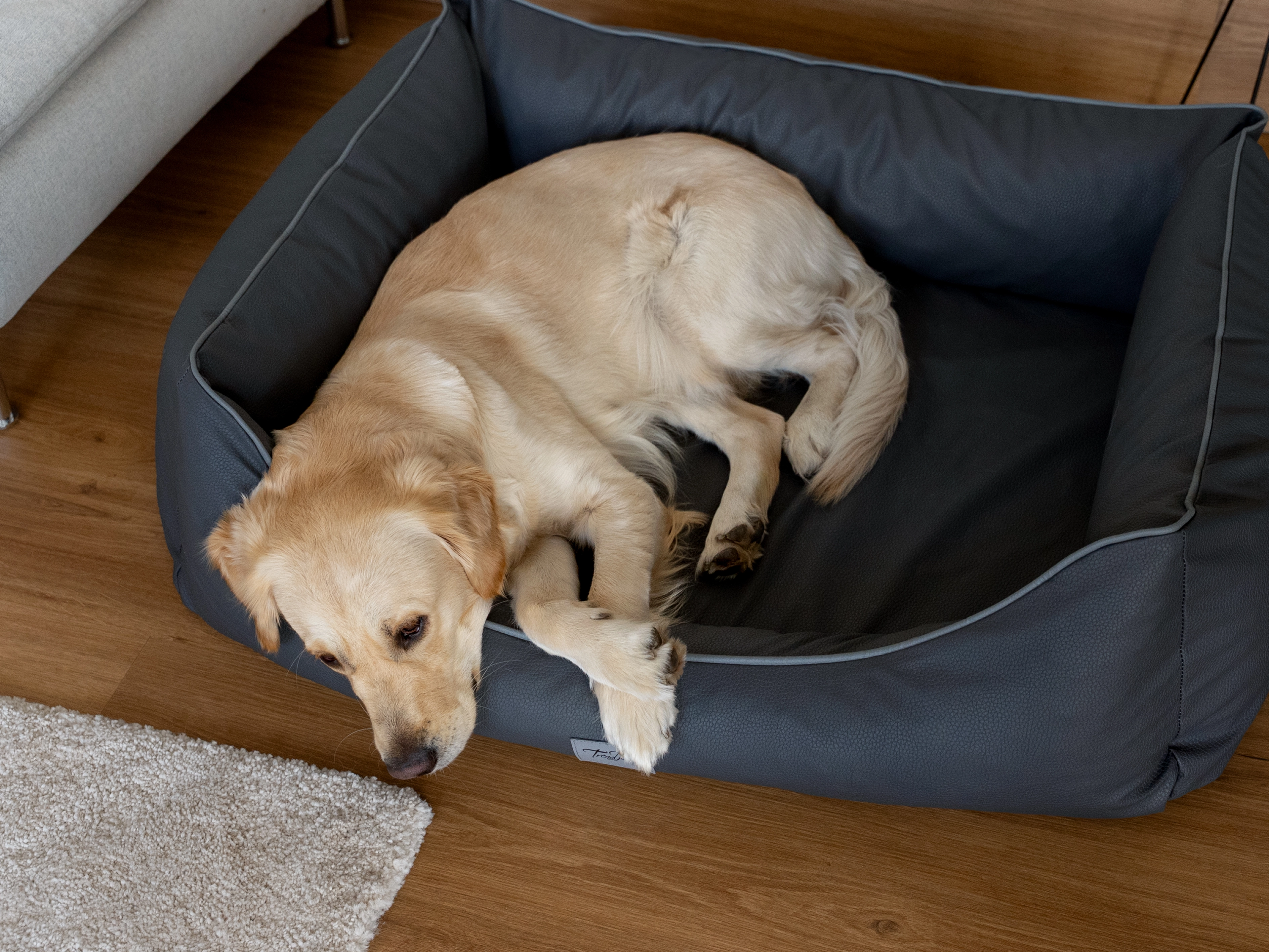 Hund liegt im TrendPet Bett Runa