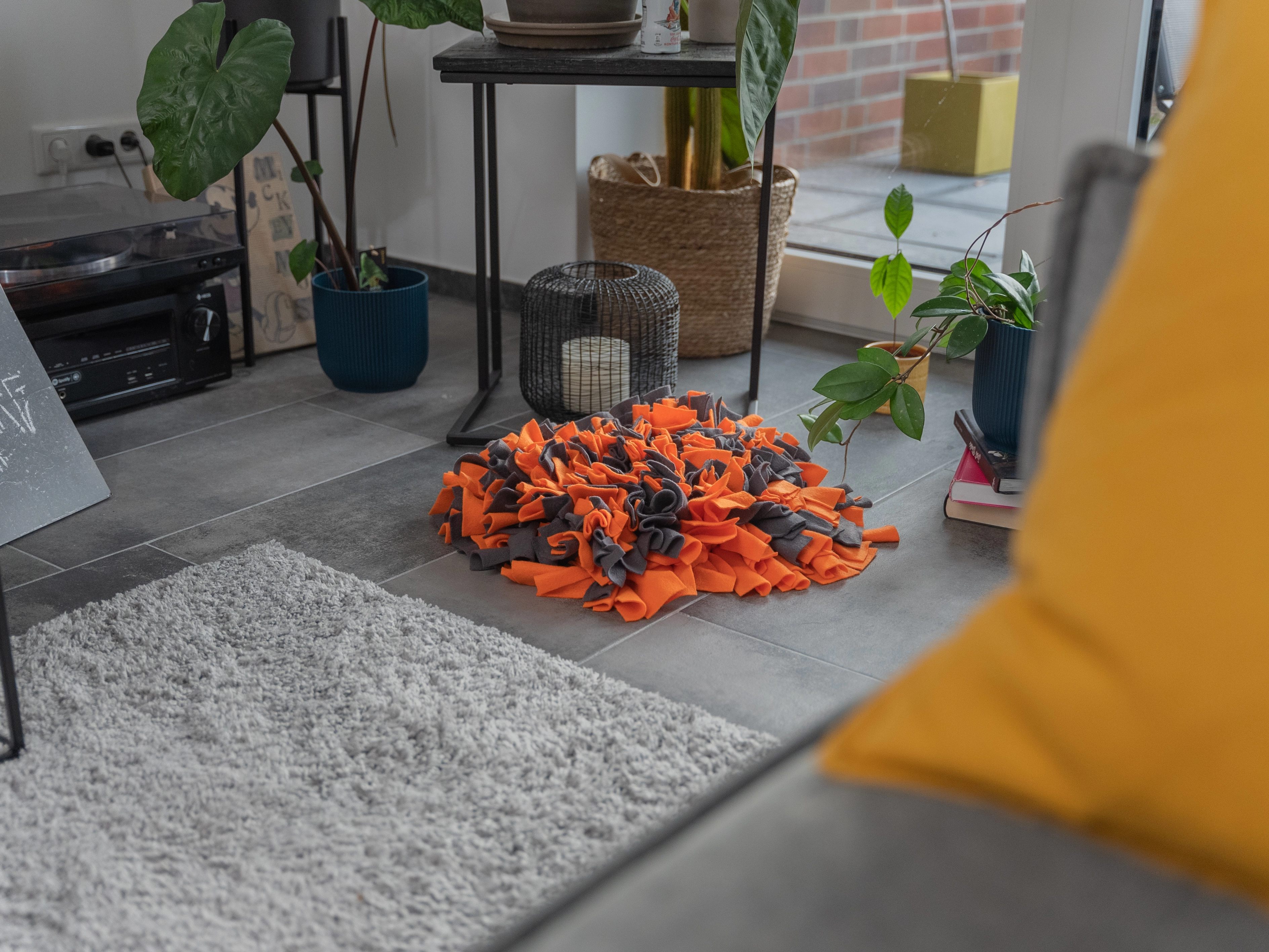 Schnueffelteppich von TrendPet
