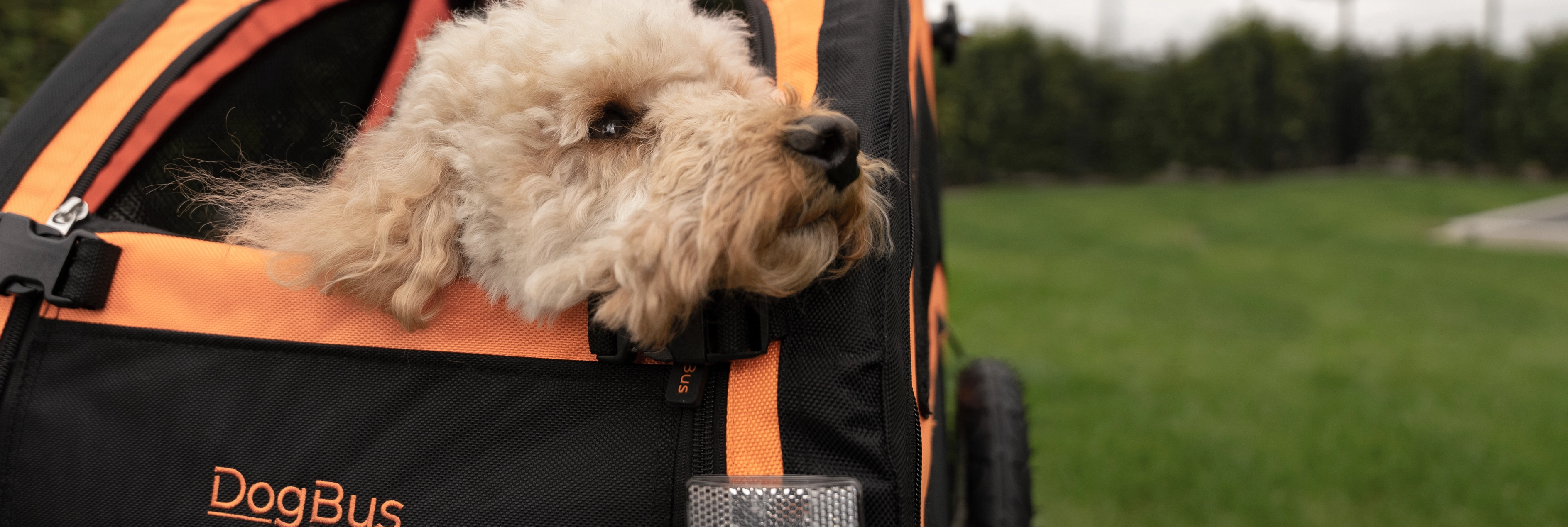 DogBus Fahrradanhänger von TrendPet