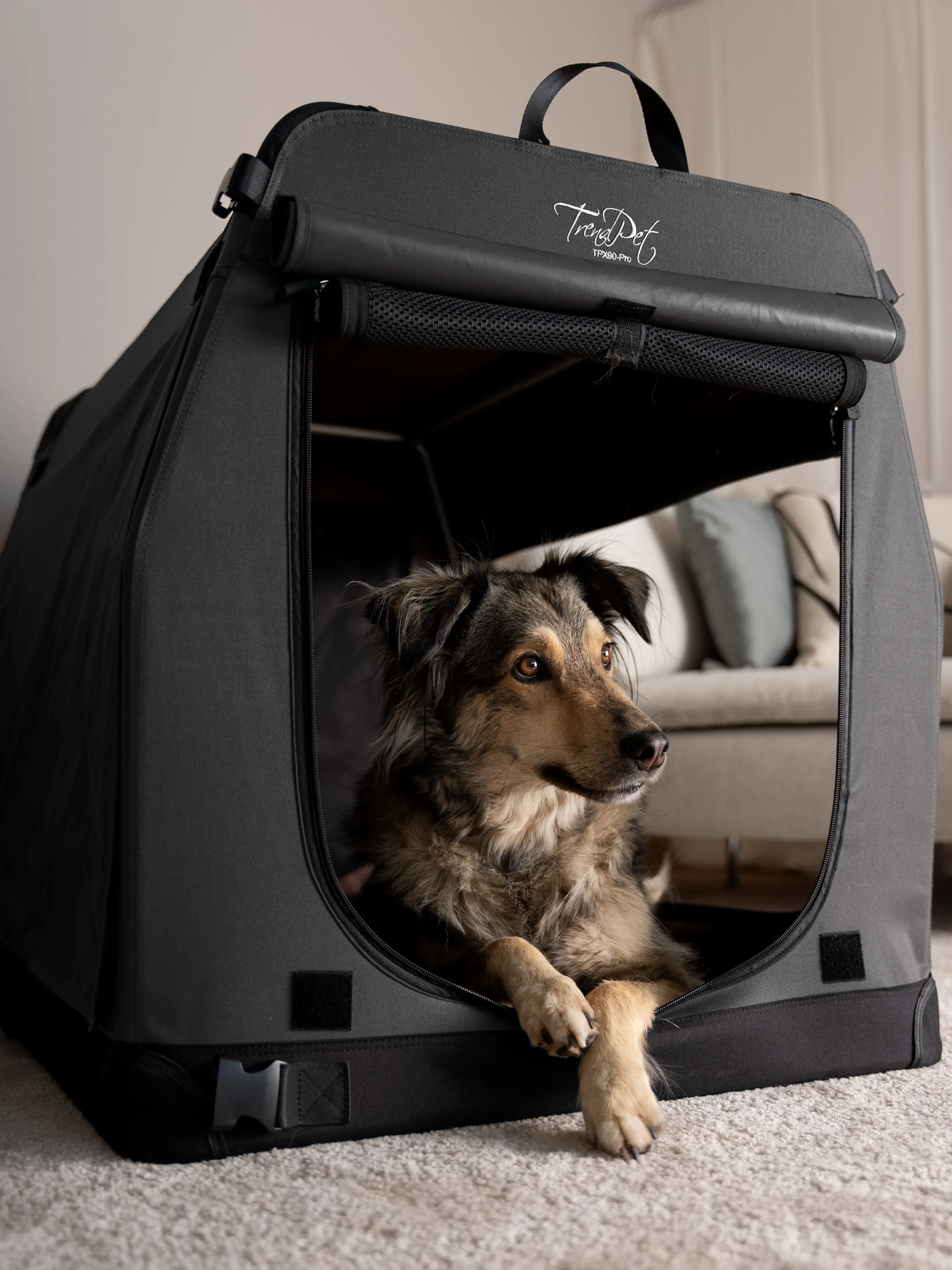 TPX-Hundebox von TrendPet