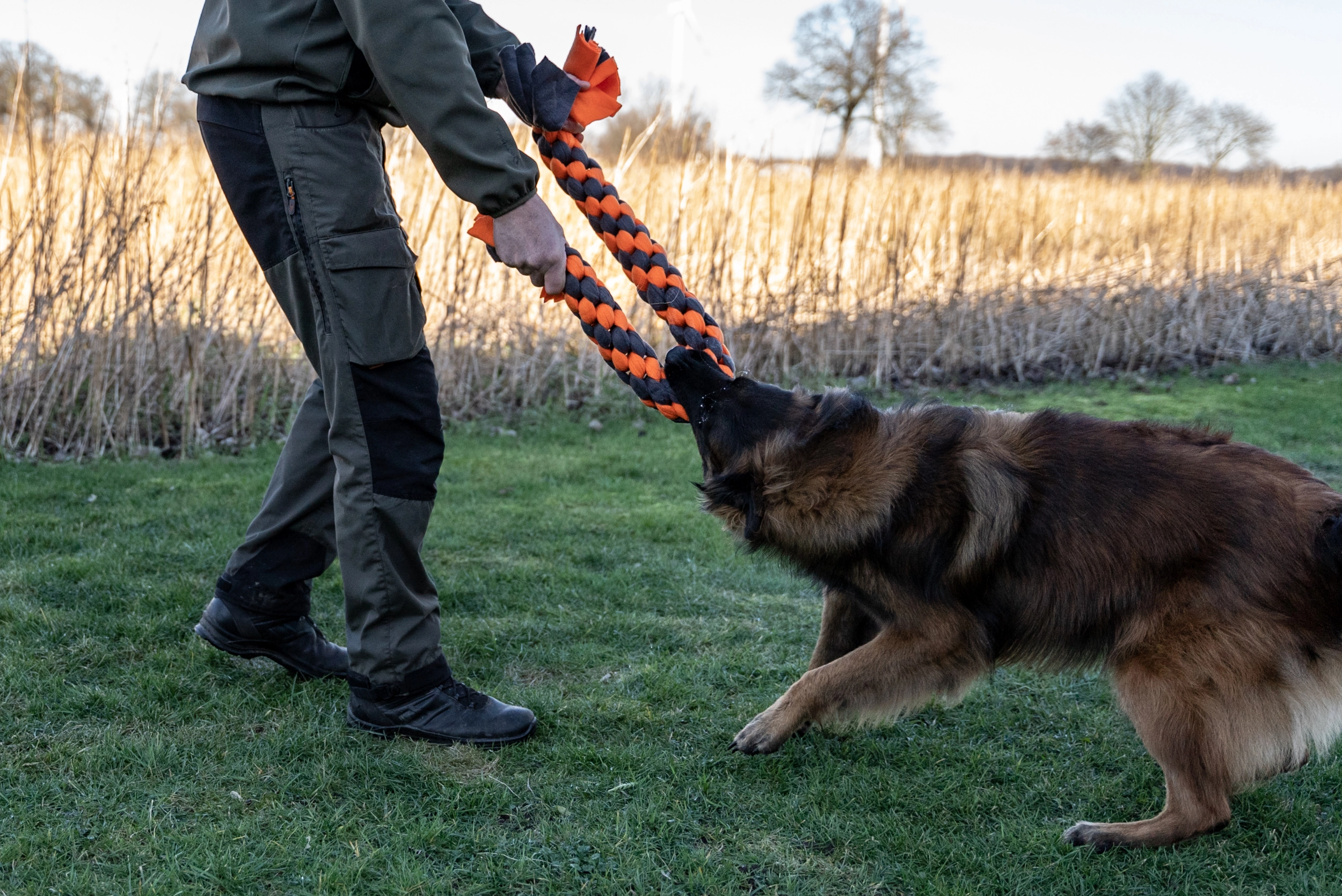 Zergel Hundespielzeug von TrendPet