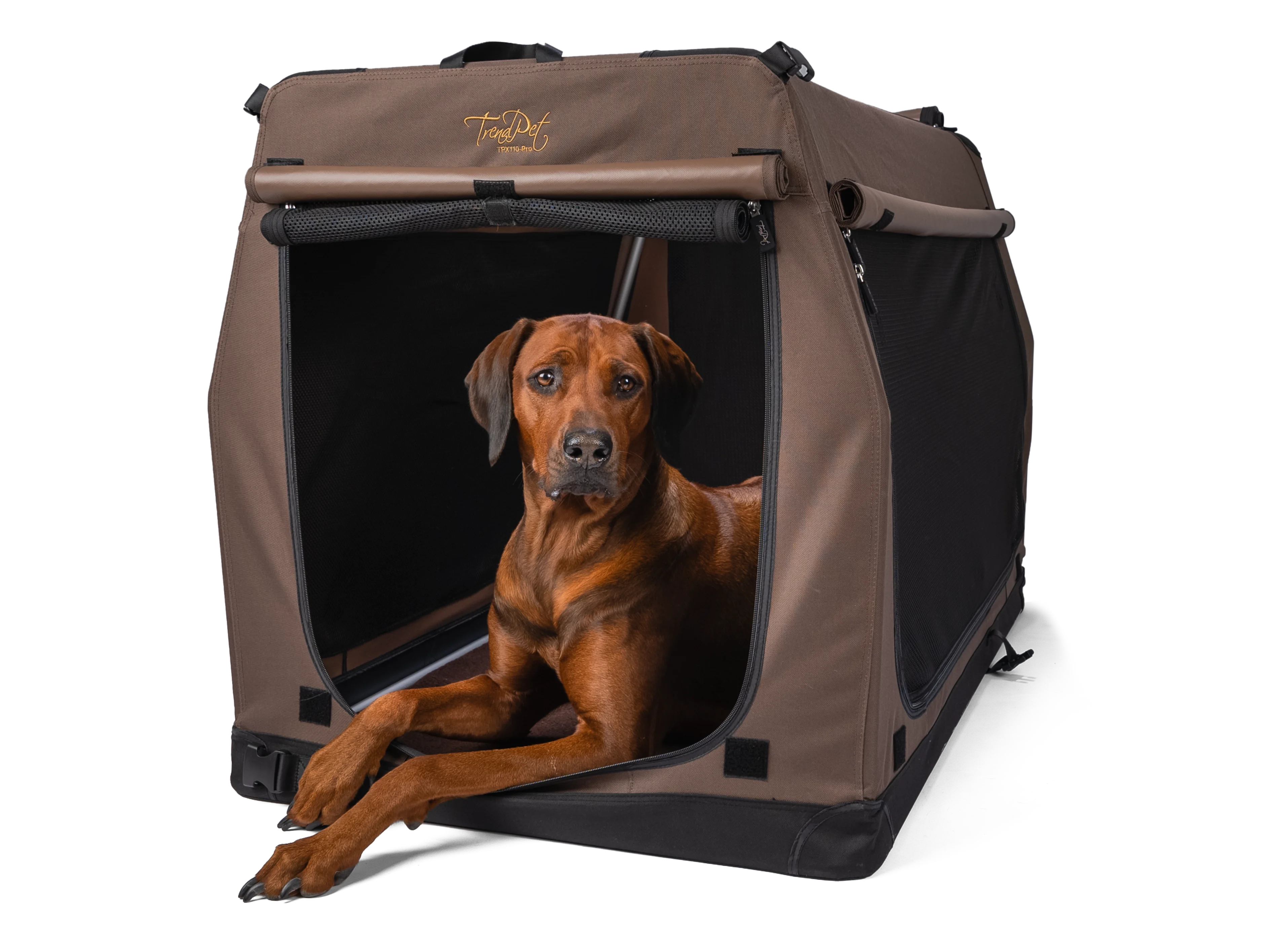 TPX-Hundebox von TrendPet