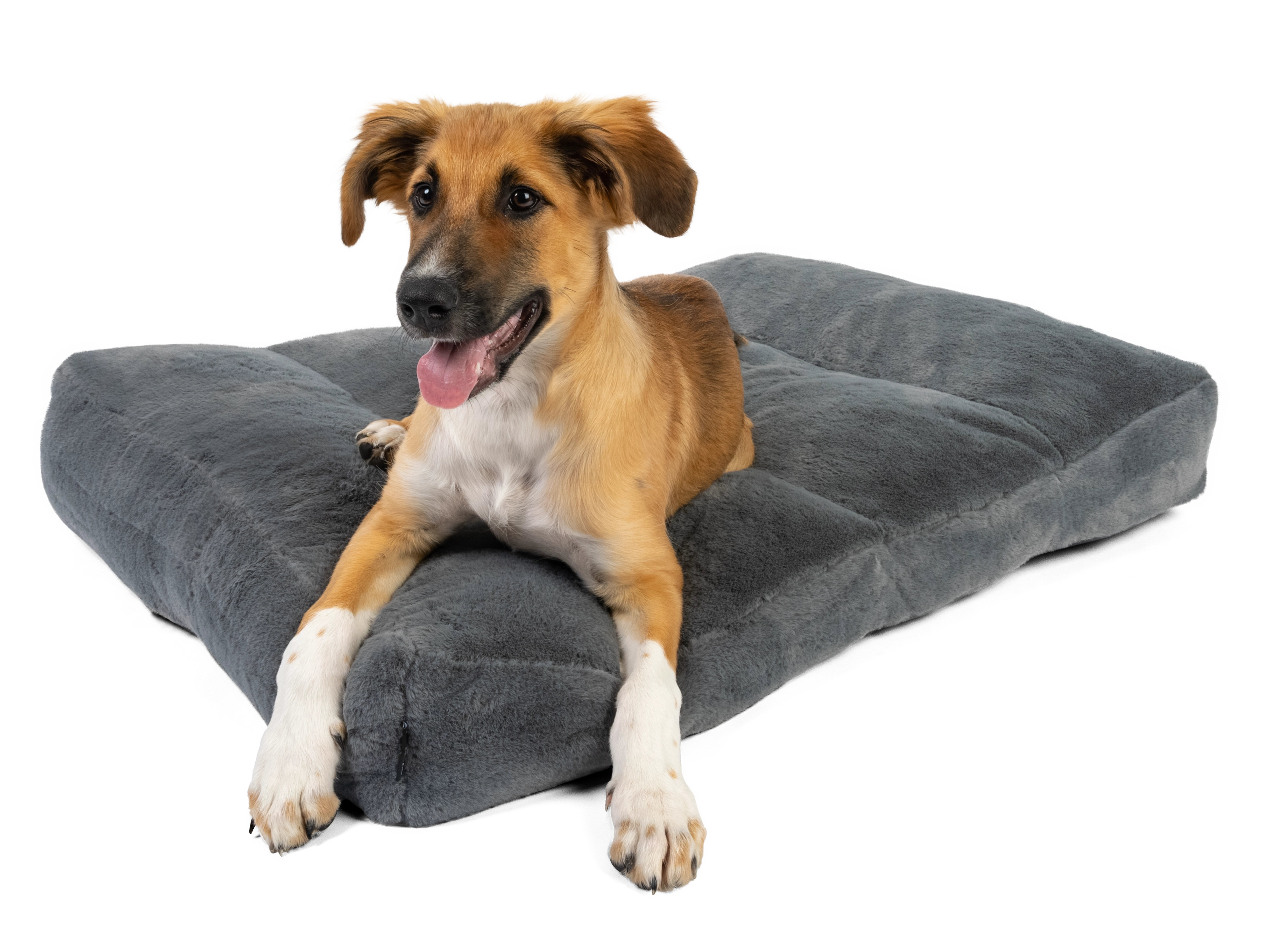 Maya Hundekissen von TrendPet