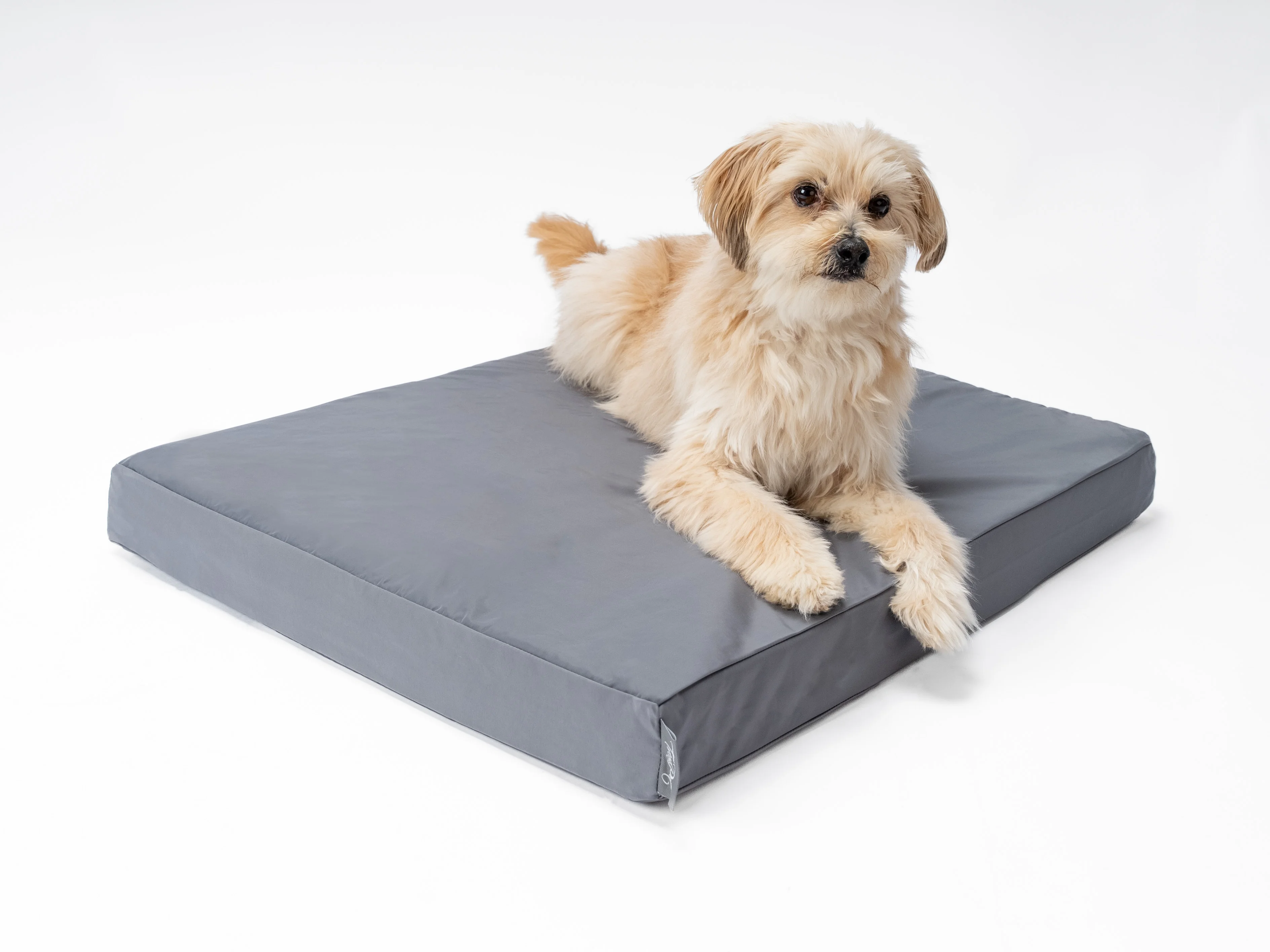 VitaMedog Wet - 7 cm