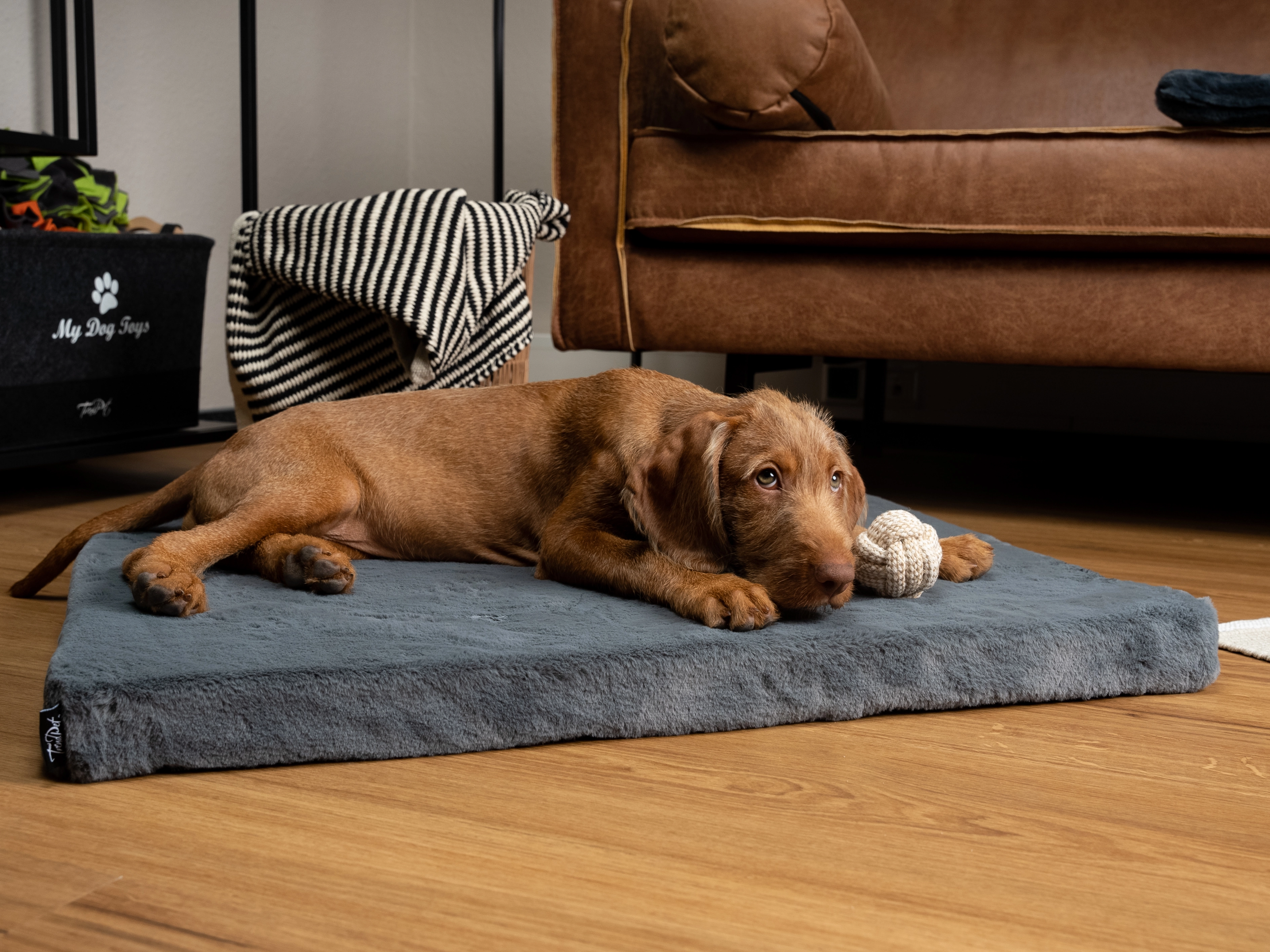 VitaMedog Matratze von TrendPet