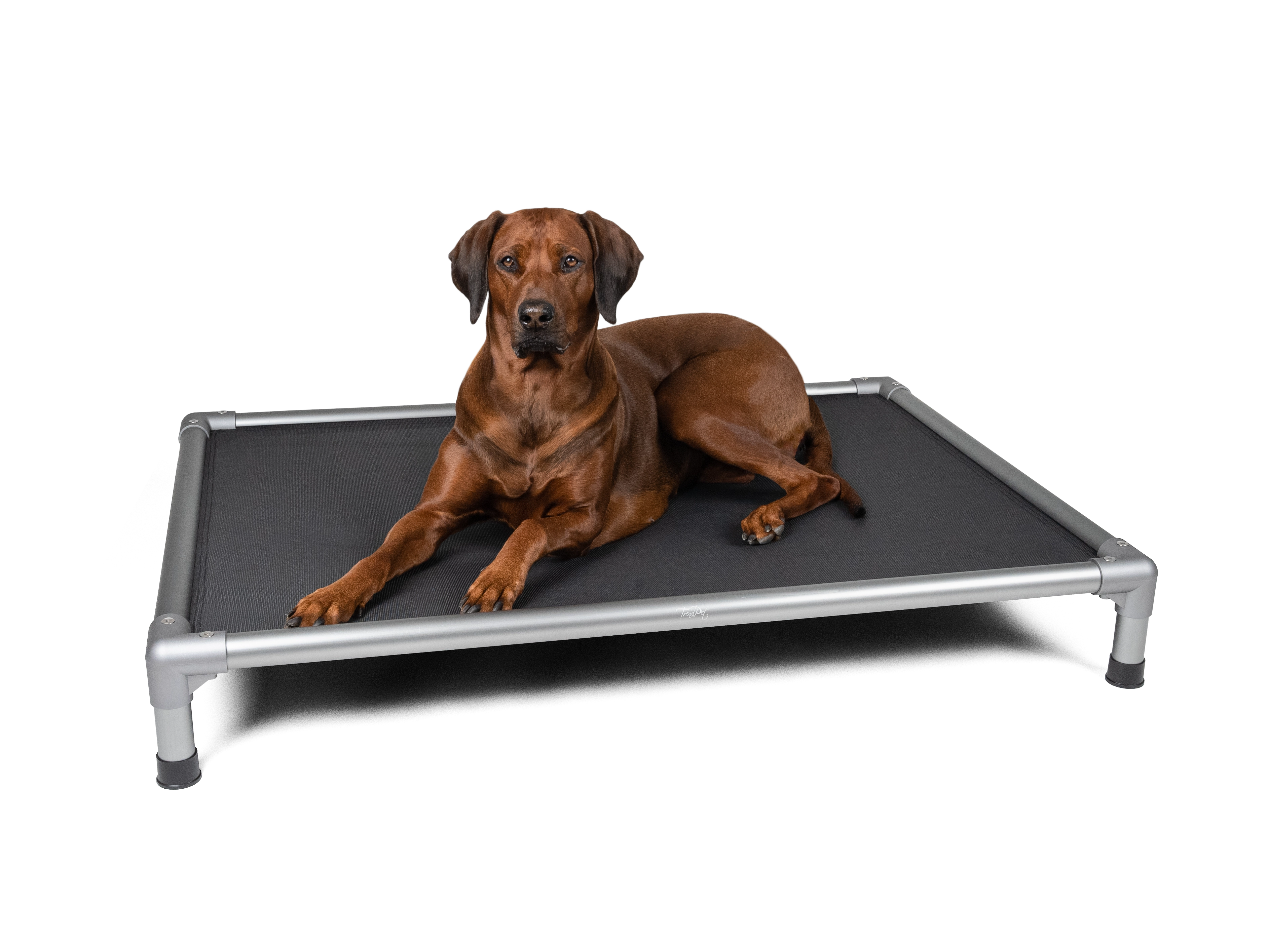 HighBed Hochbett fuer Hunde von TrendPet