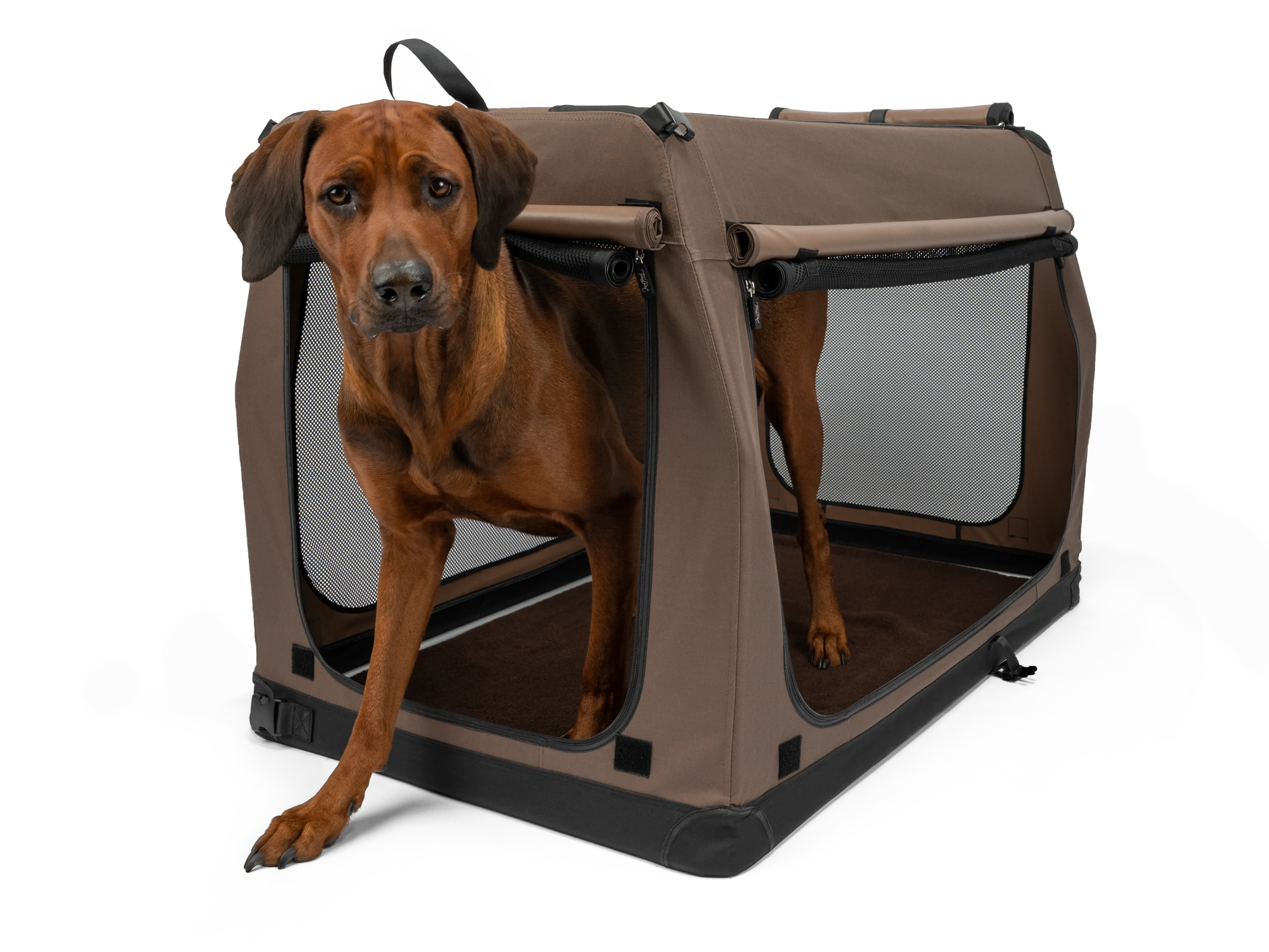 TPX-Hundebox von TrendPet