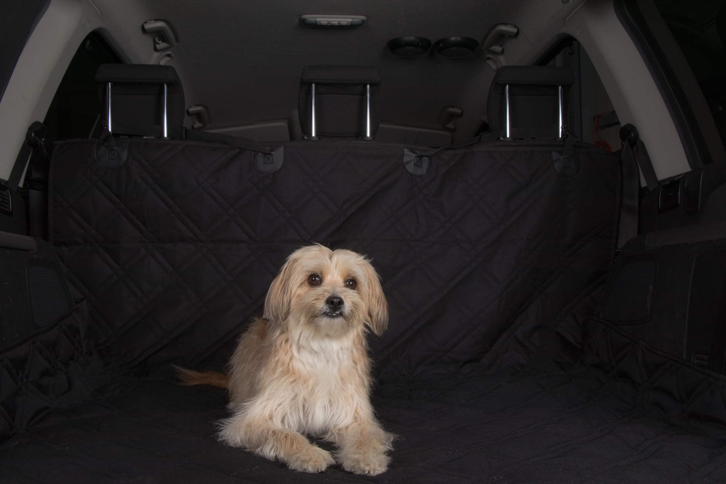 TrendPet Seatcover fürs Auto