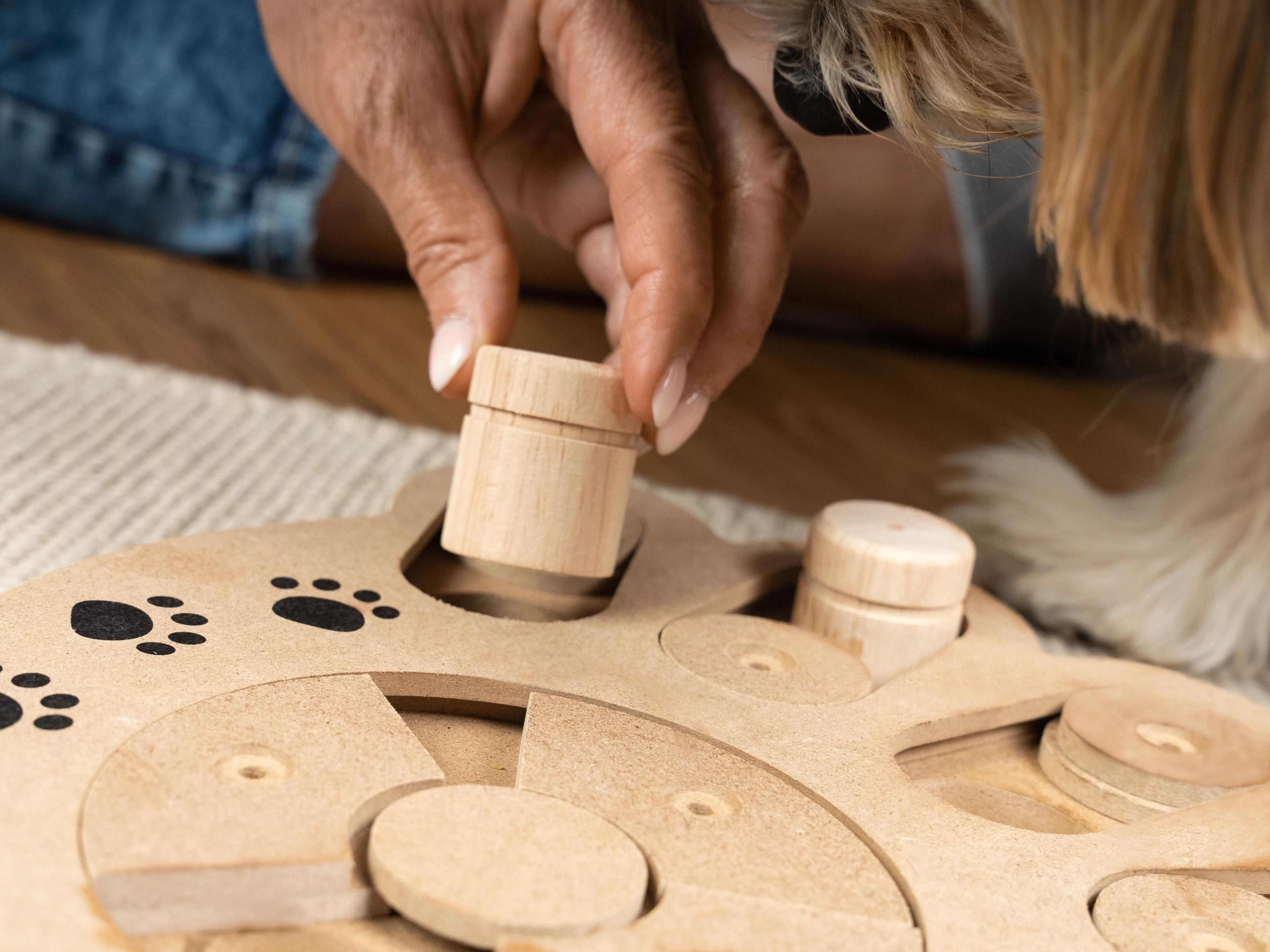 Intelli von TrendPet