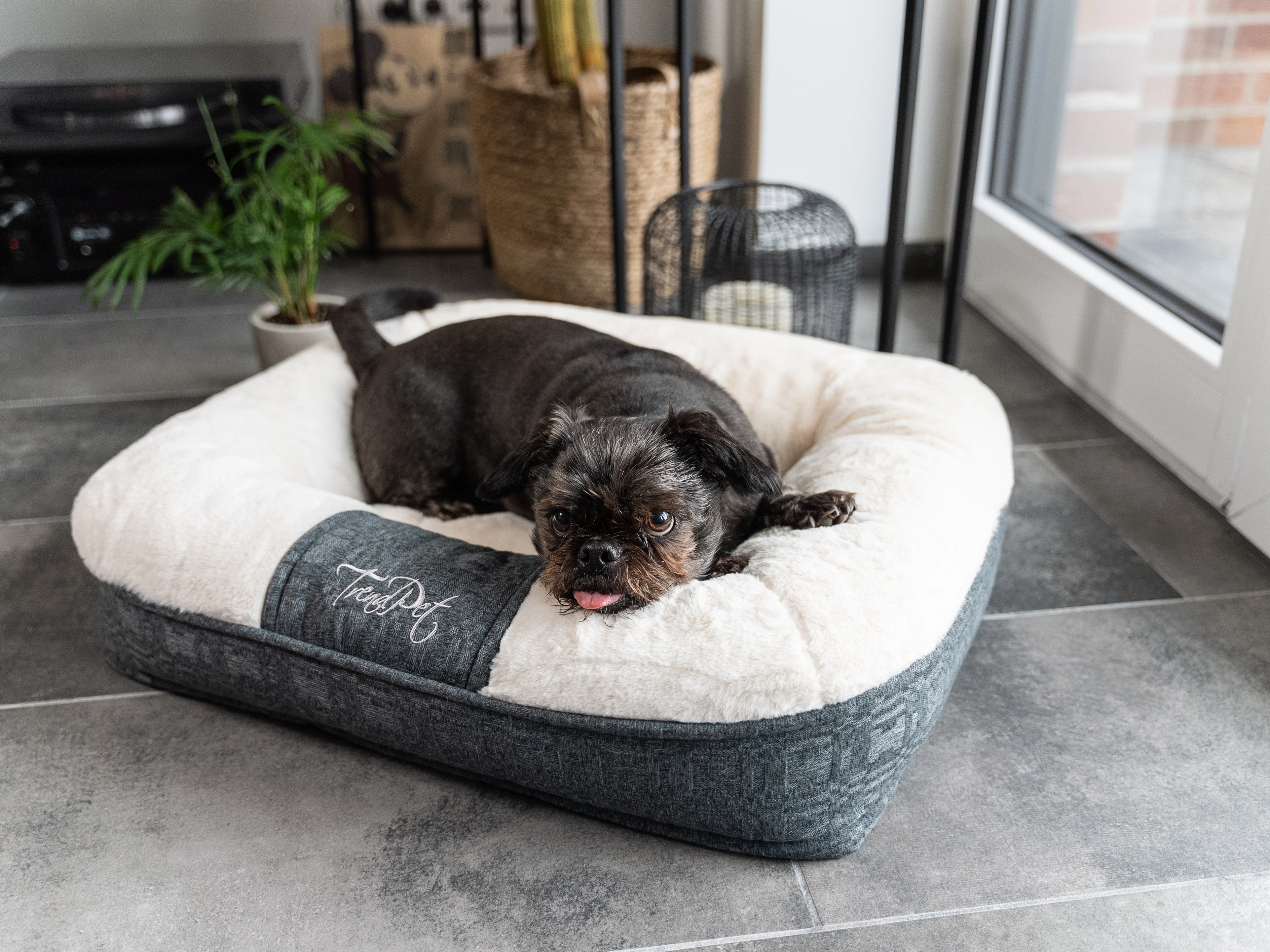 LunaLounge von TrendPet