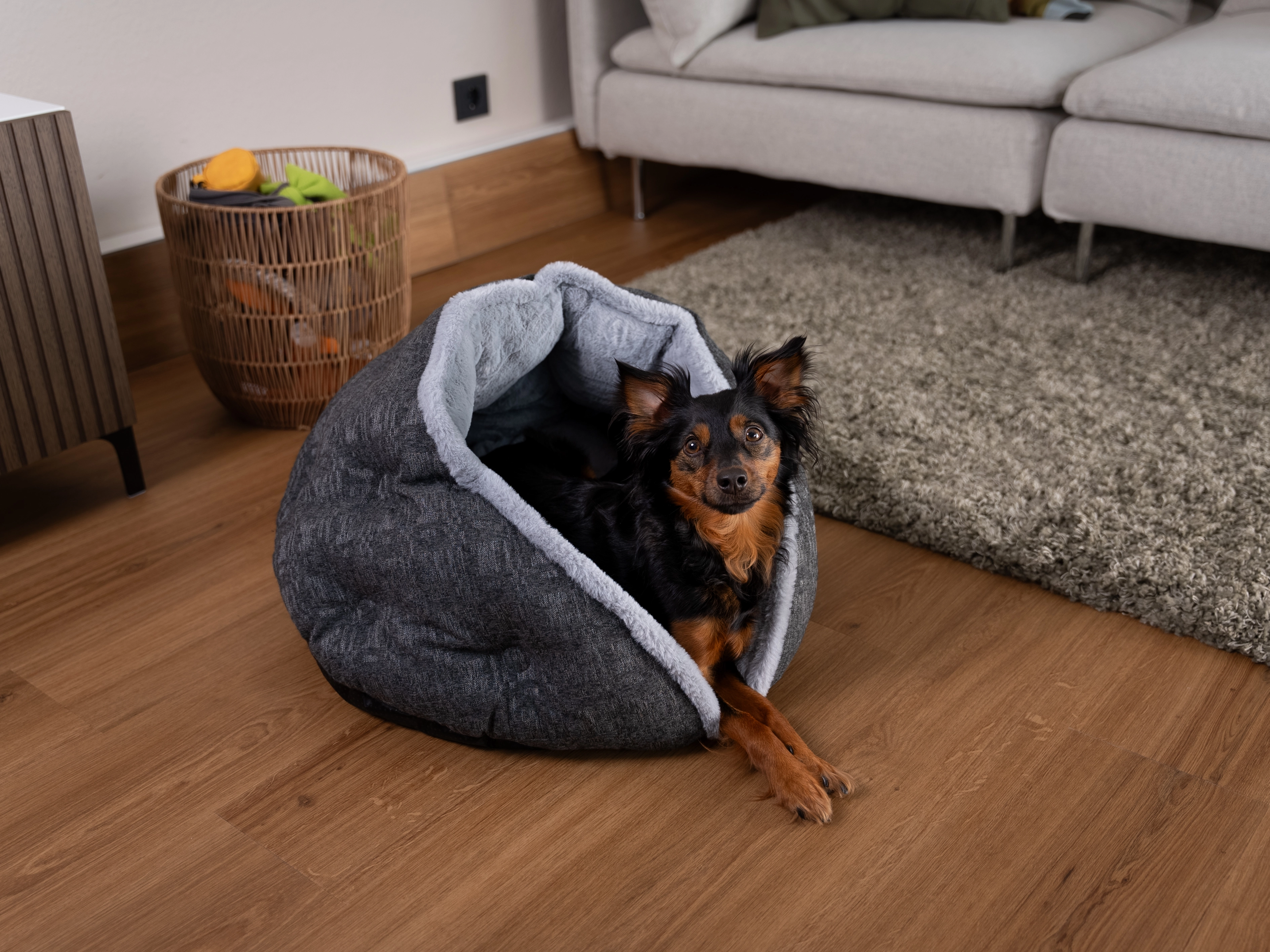 Hund liegt im LunaNest