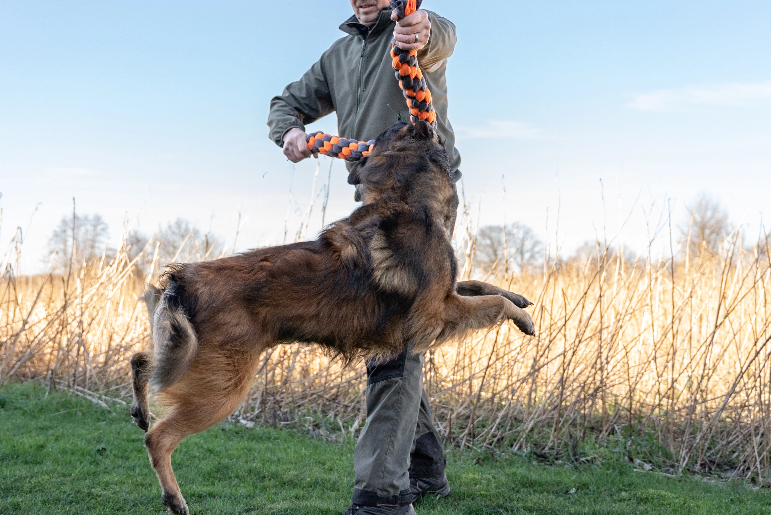 Zergel Hundespielzeug von TrendPet