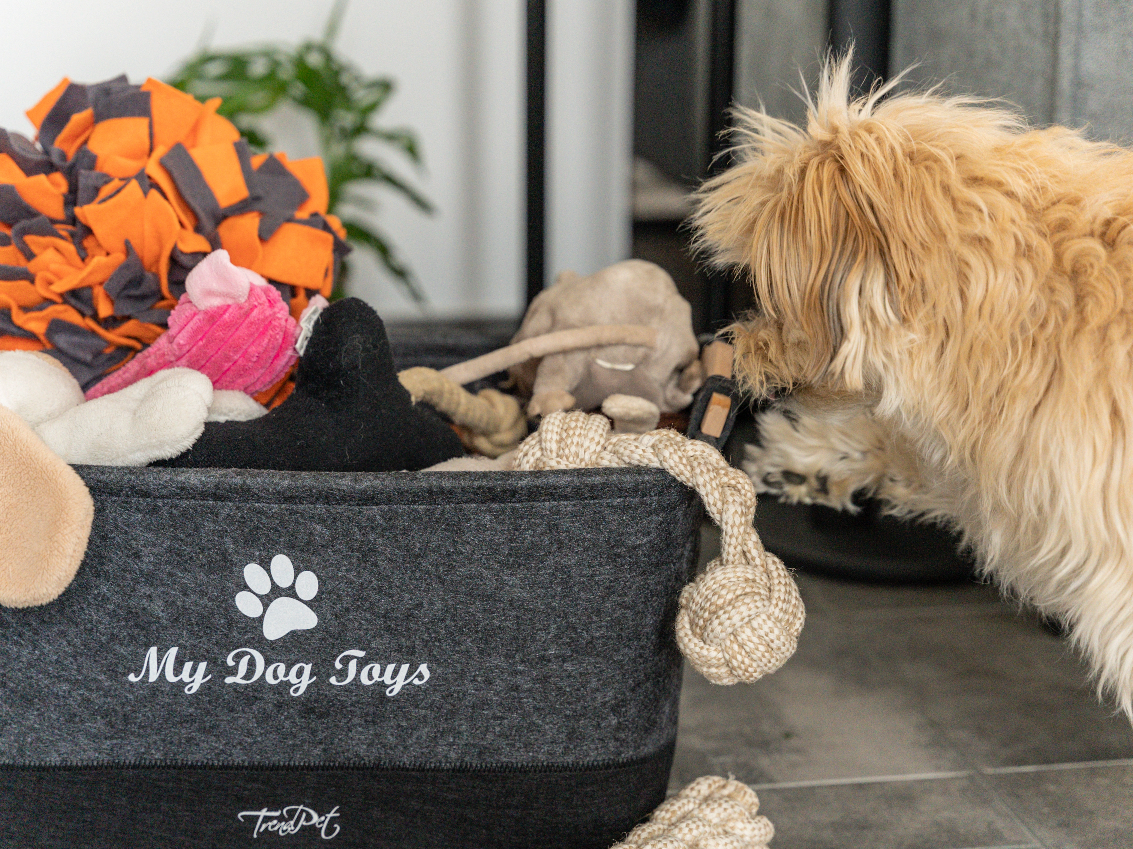 MyDog Toys Spielzeugkoerbchen von TrendPet