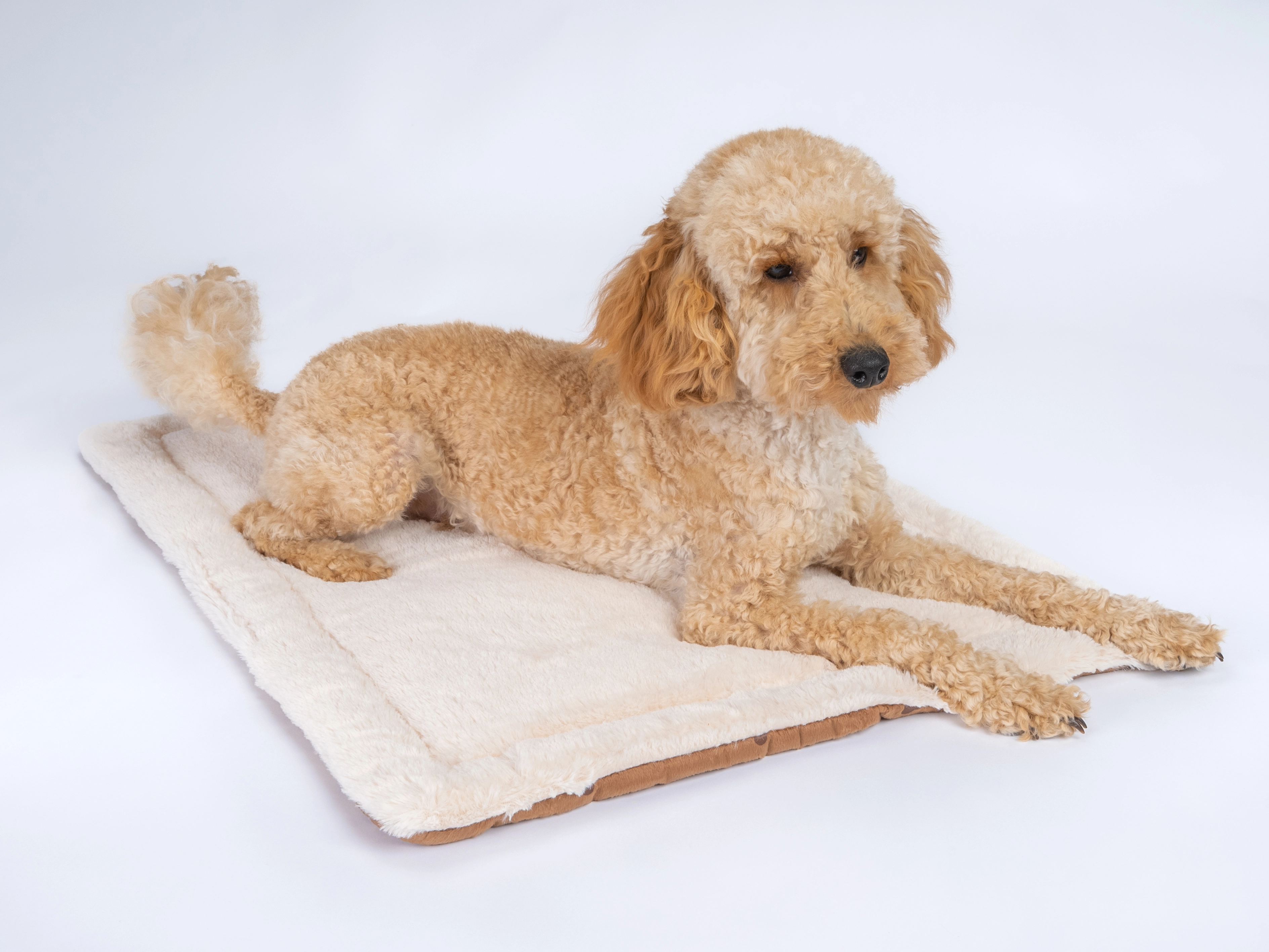 Relaxdecke von TrendPet fuer Hunde