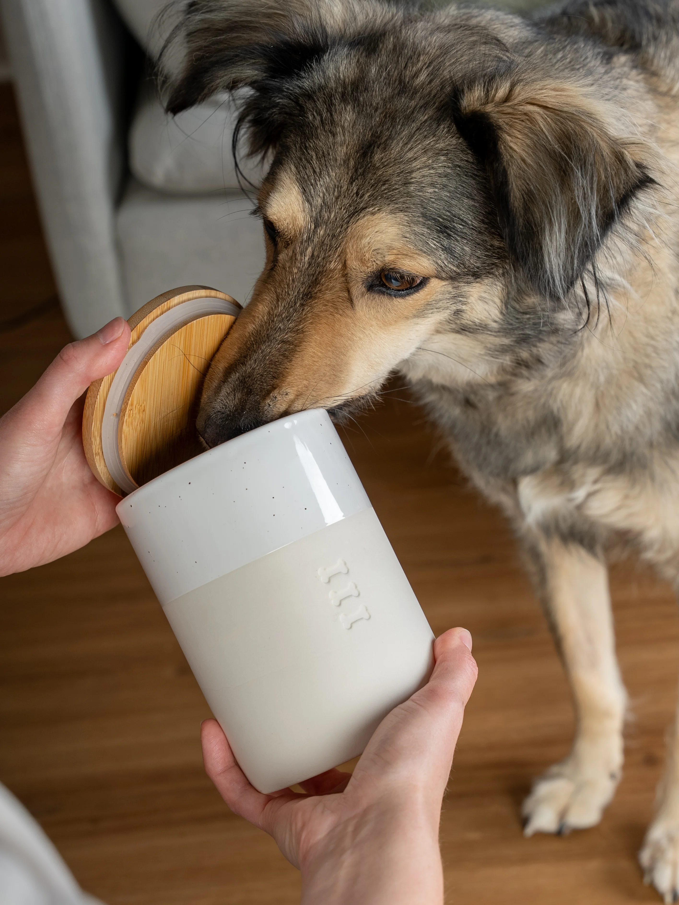 Snackdose Clay von TrendPet