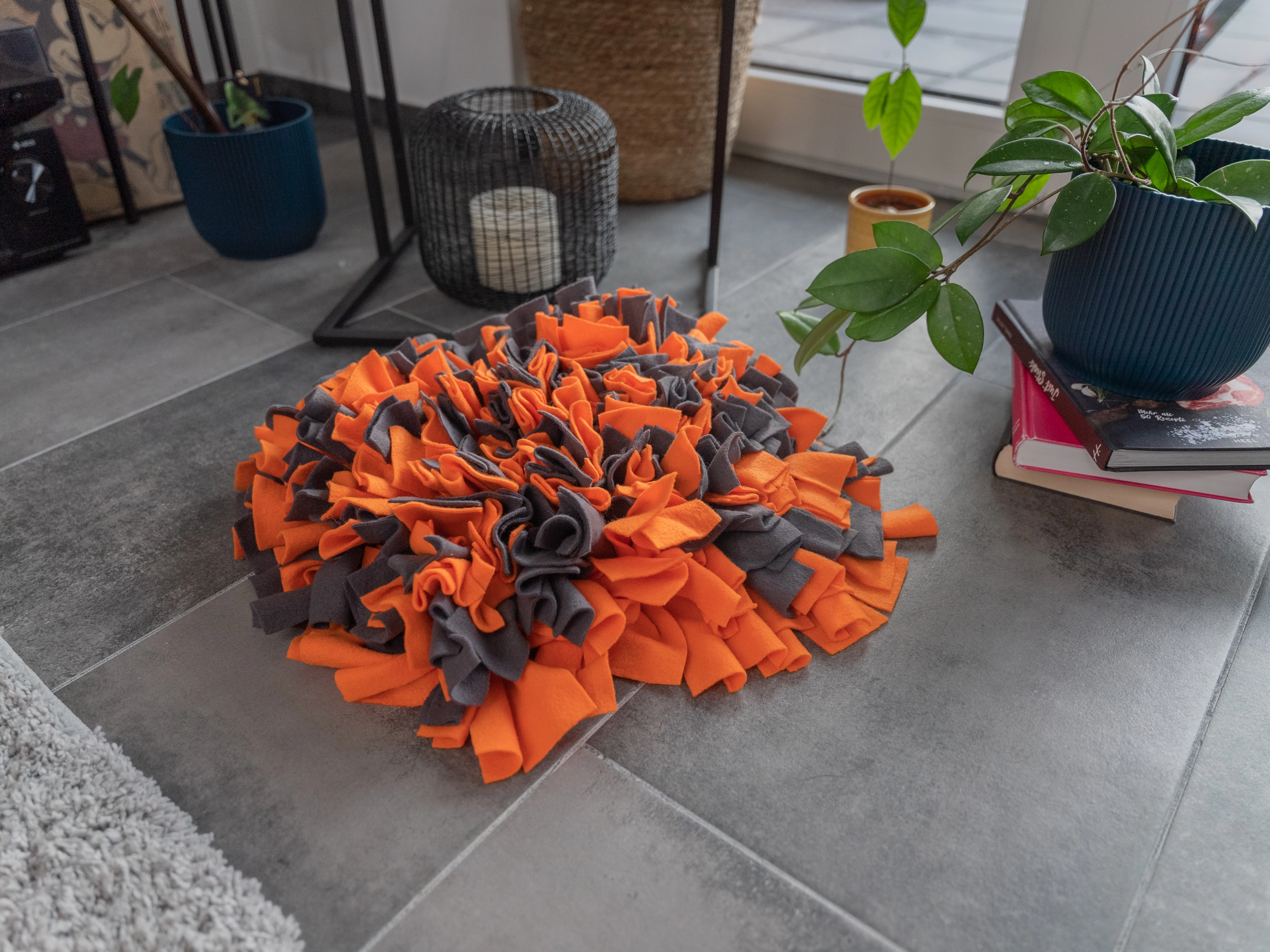 Schnueffelteppich von TrendPet