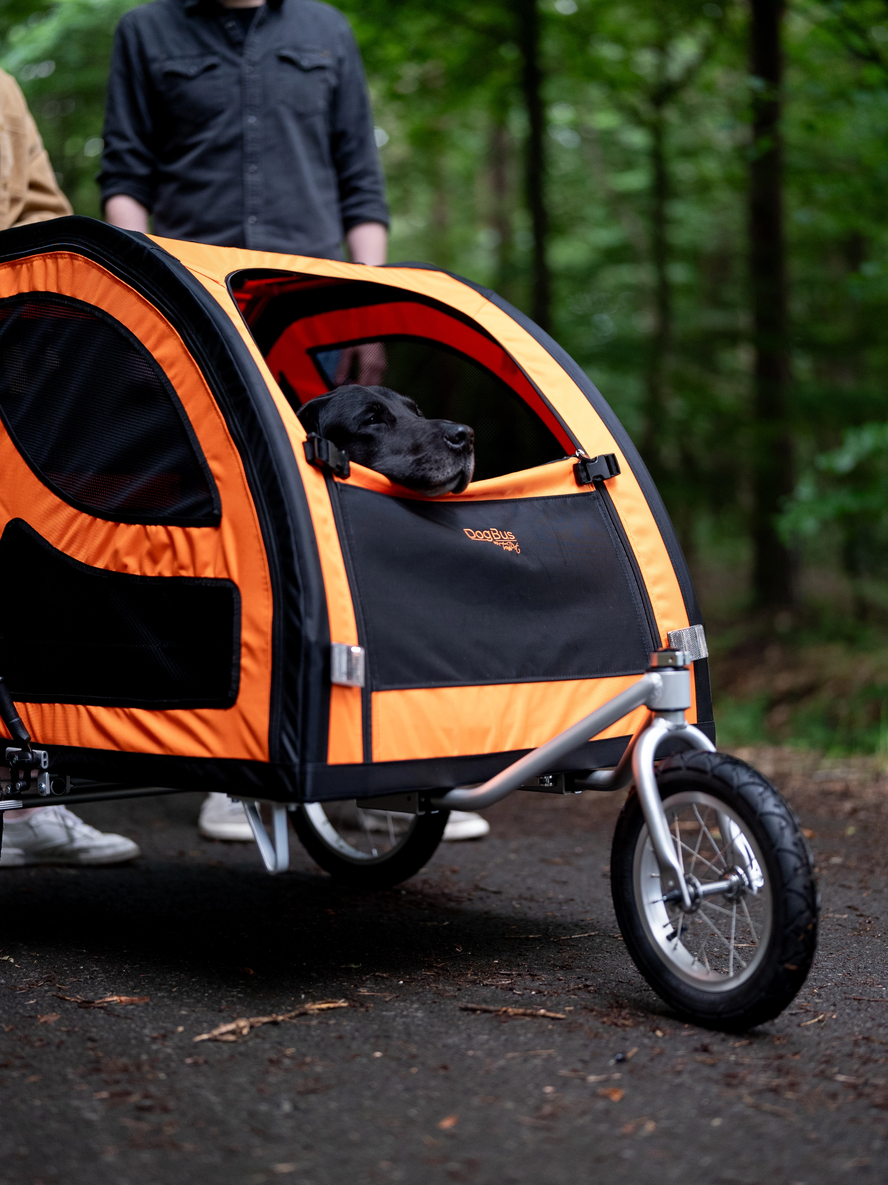 Bundle - DogBus L mit Stroller Kit