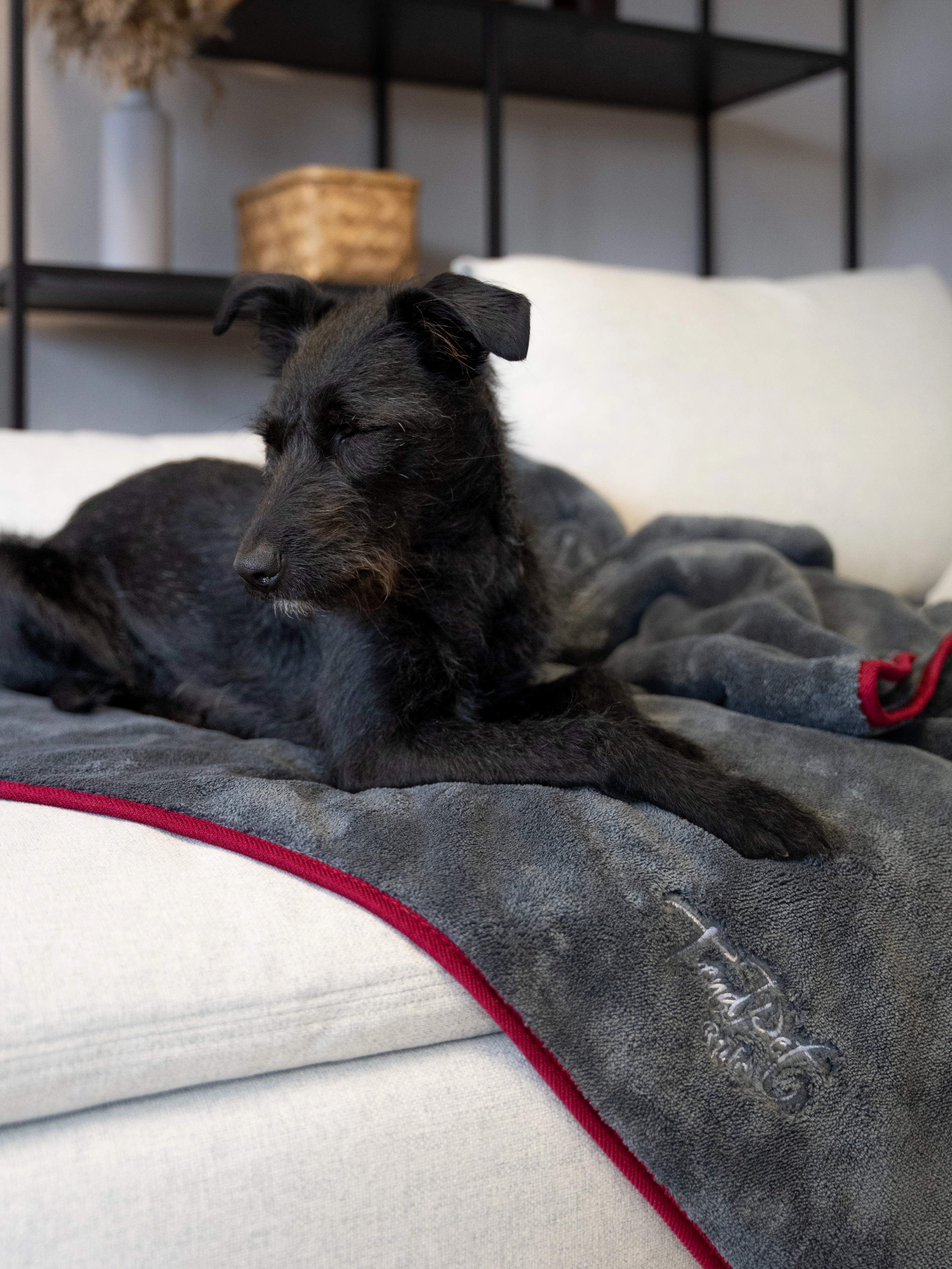 Ruby Decke von TrendPet