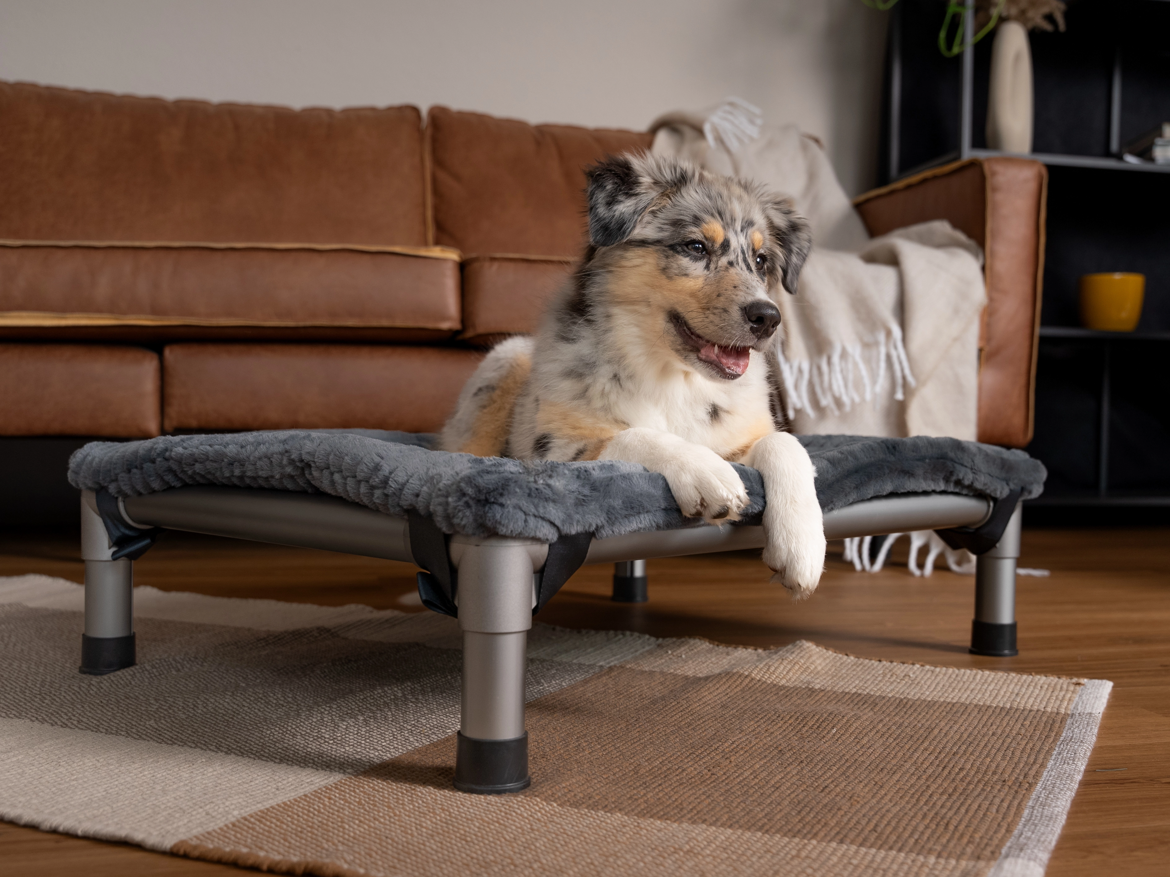 Harmony kuschelige Wendedecke passend zum HighBed von TrendPet für Hunde