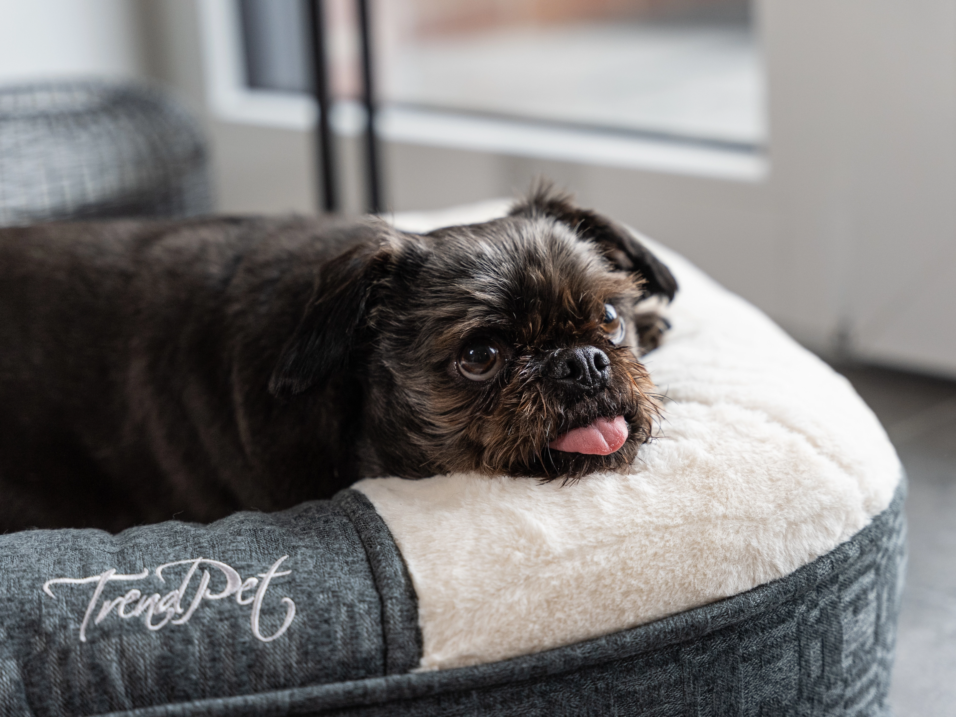 LunaLounge von TrendPet