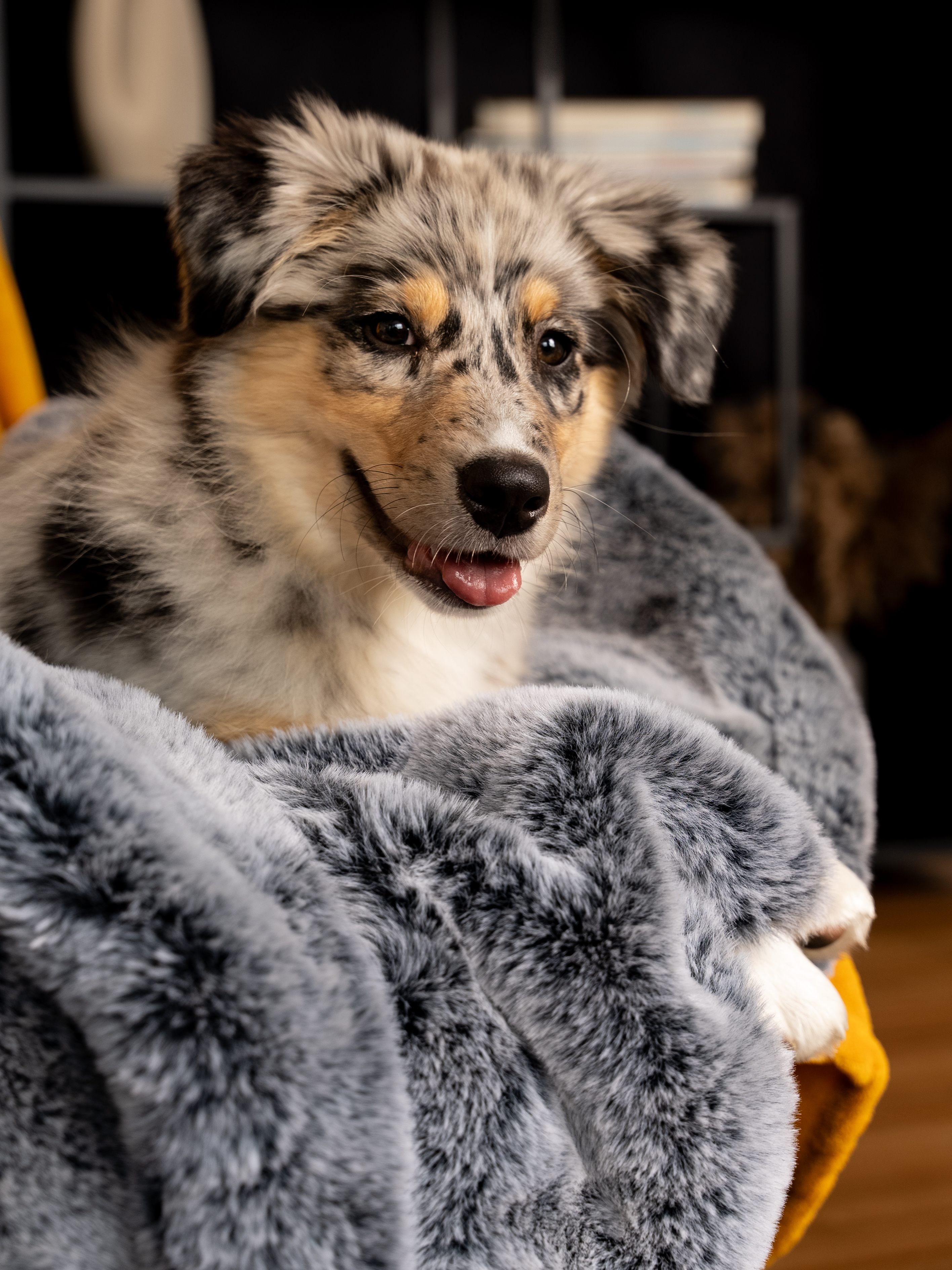 Felldecke Yuma von TrendPet