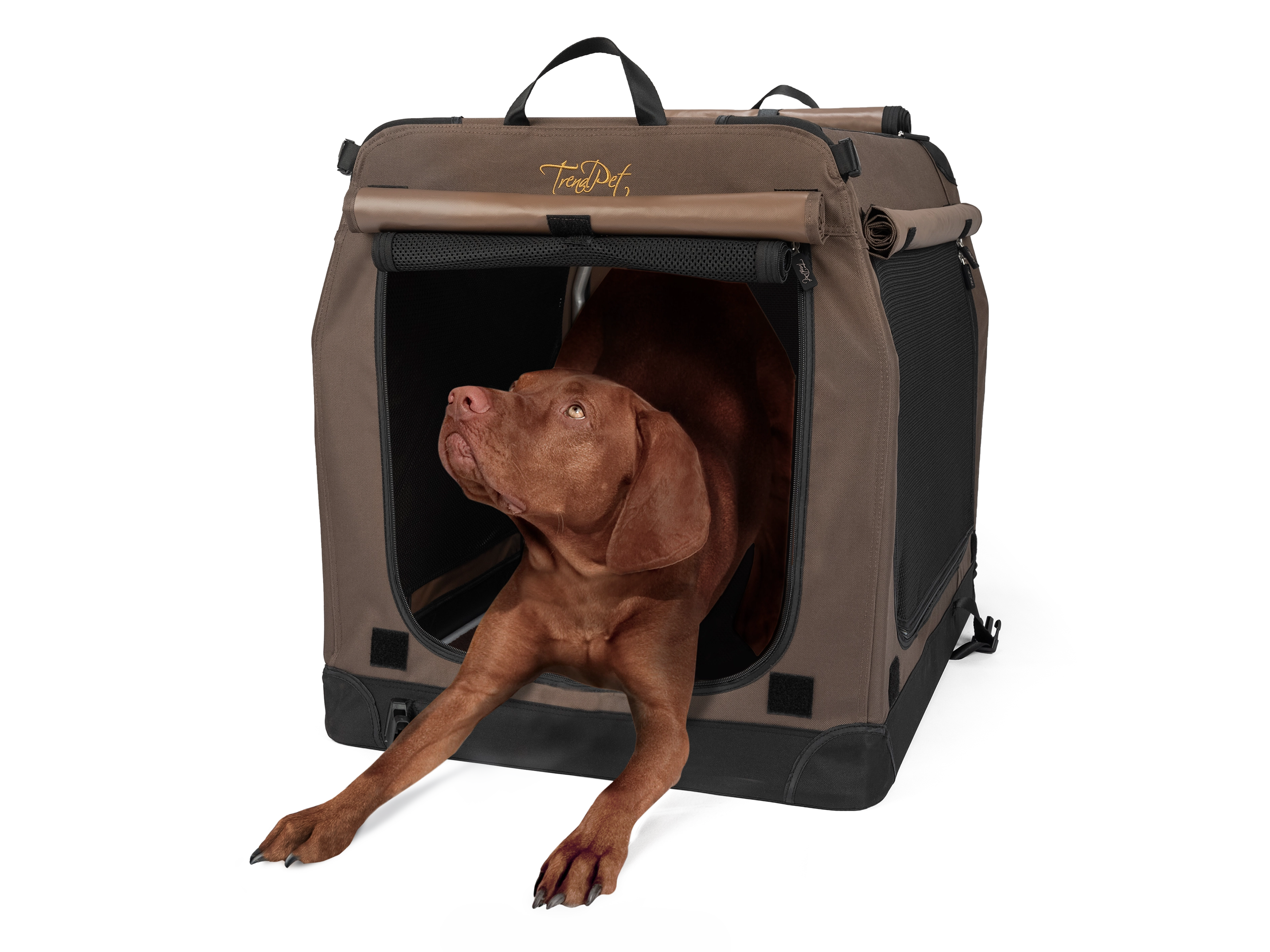 TPX-Hundebox von TrendPet