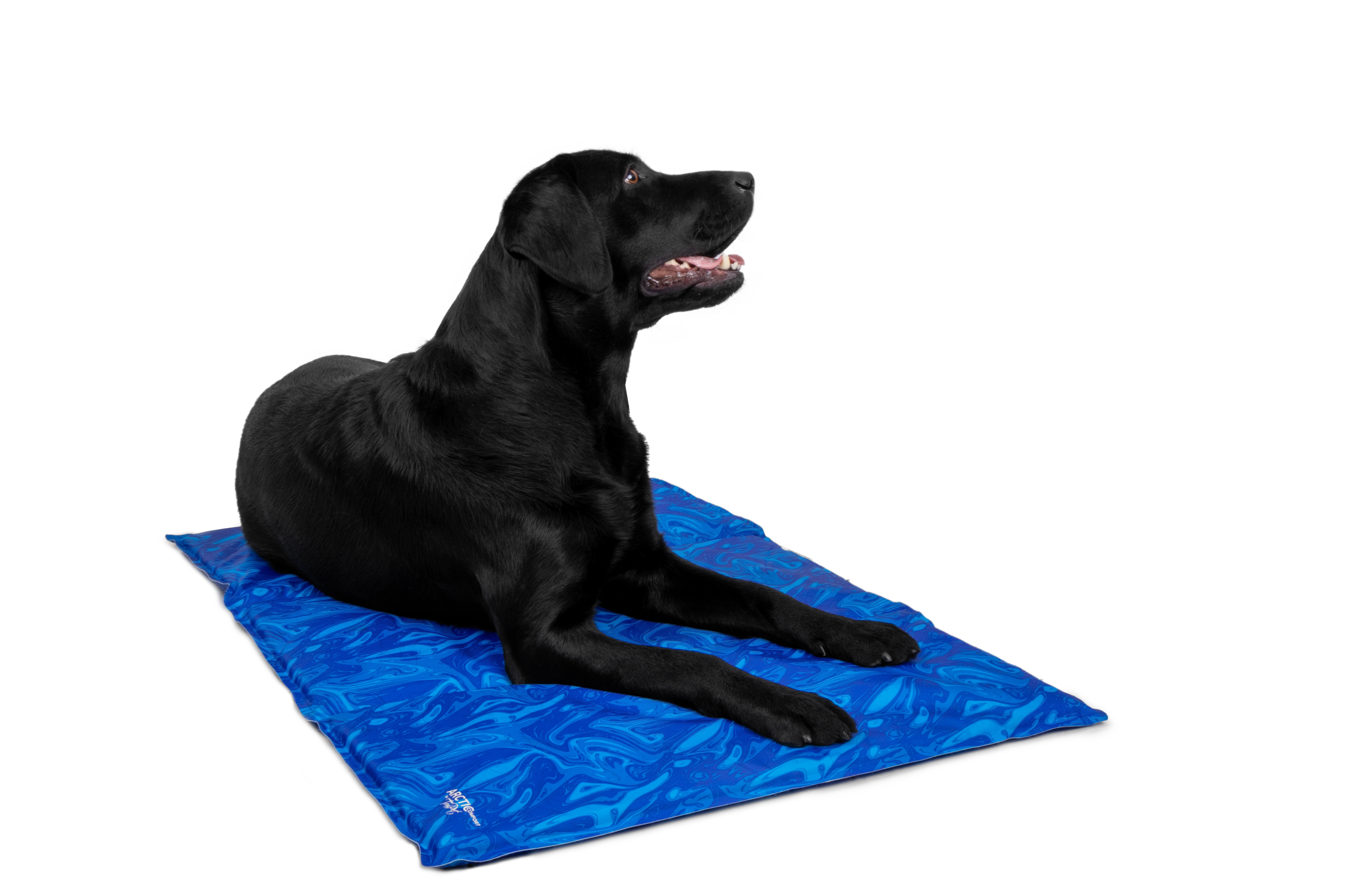 ArctiArctic Comfort Kuehlmatte von TrendPetc Comfort Kuehlmatte von TrendPet