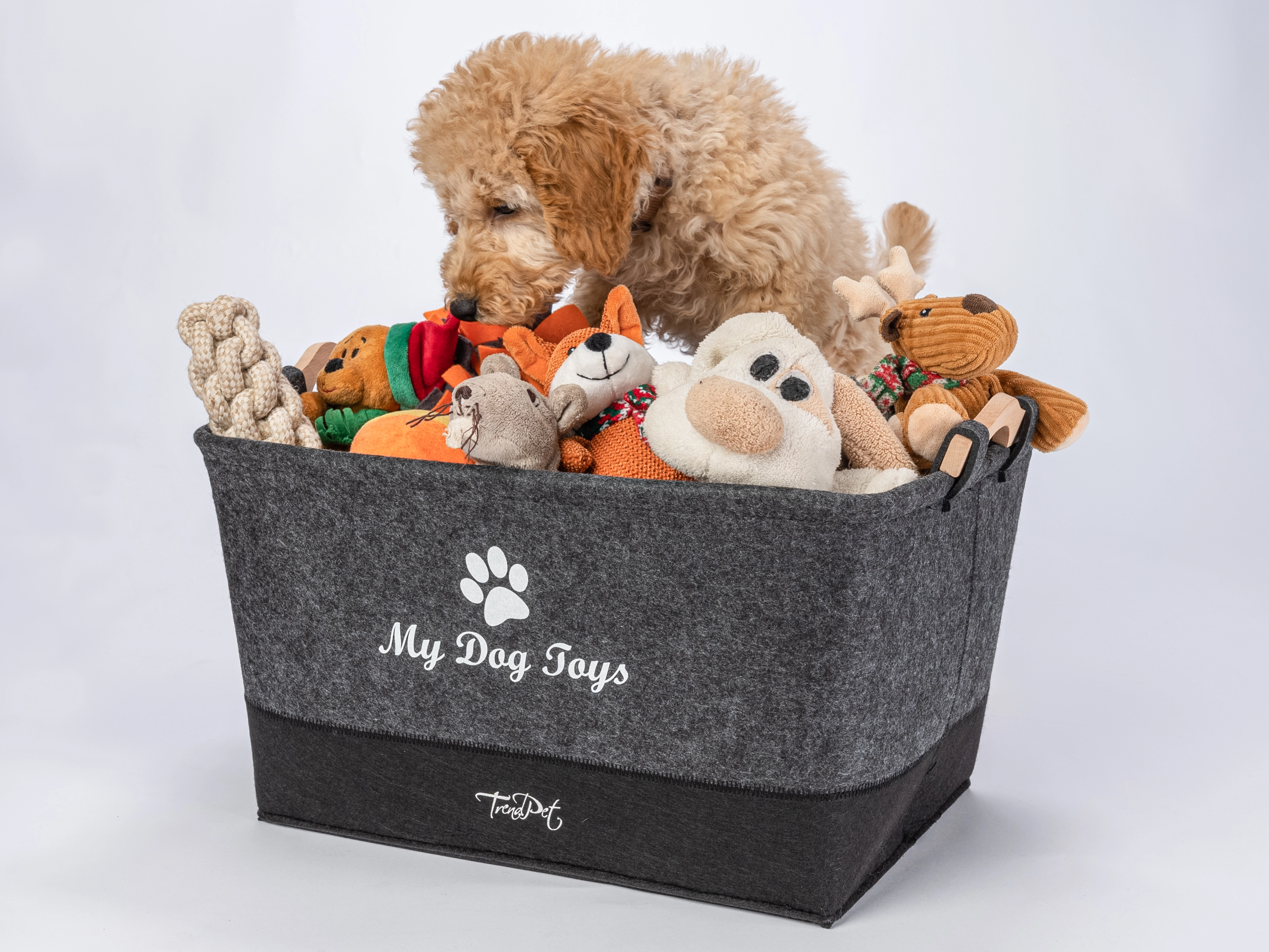 MyDog Toys Spielzeugkoerbchen von TrendPet