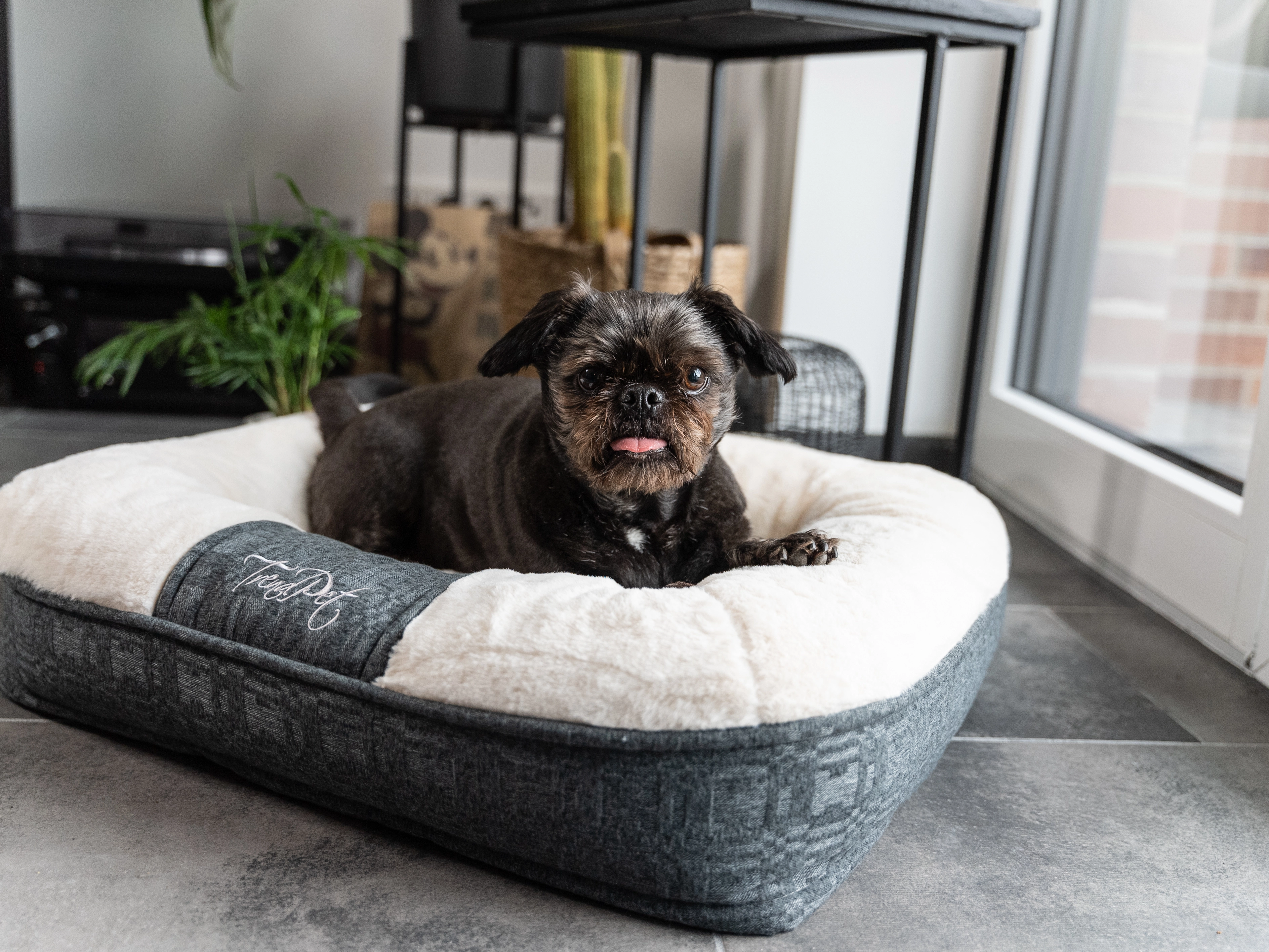 LunaLounge von TrendPet