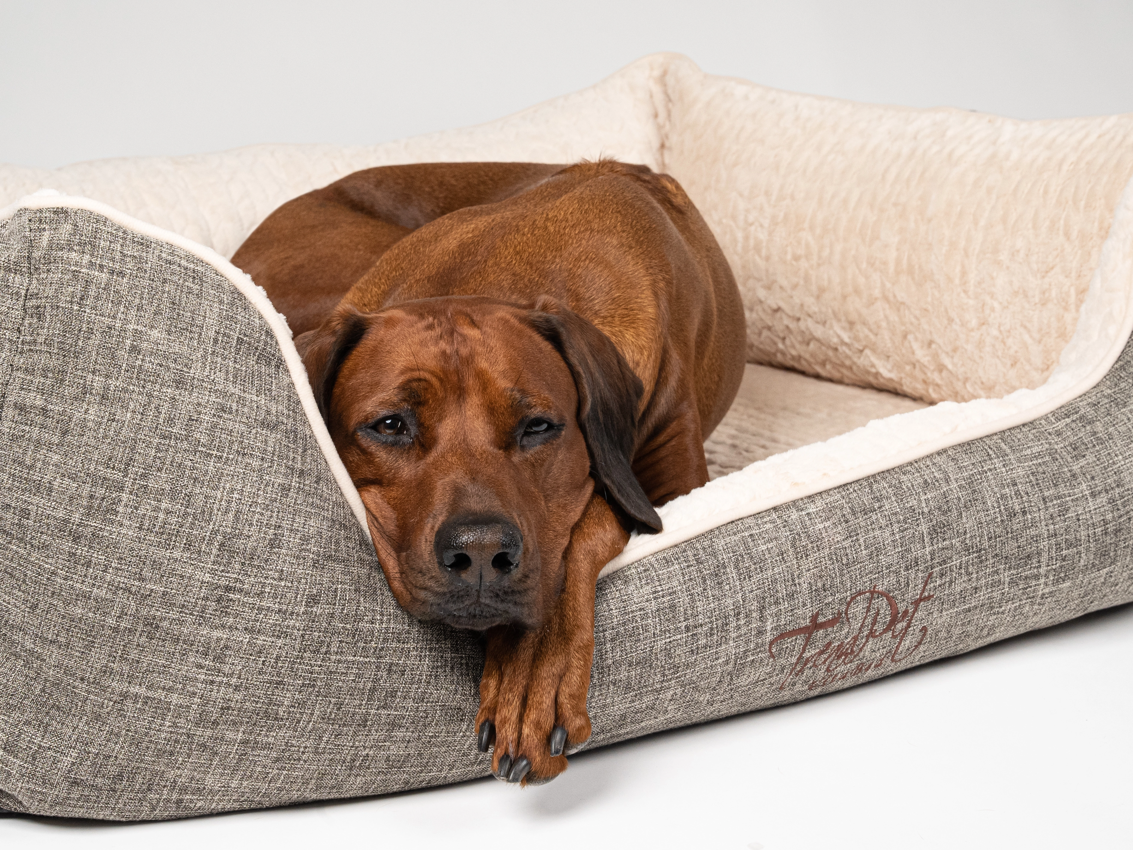 Hundebett VitaBed von TrendPet