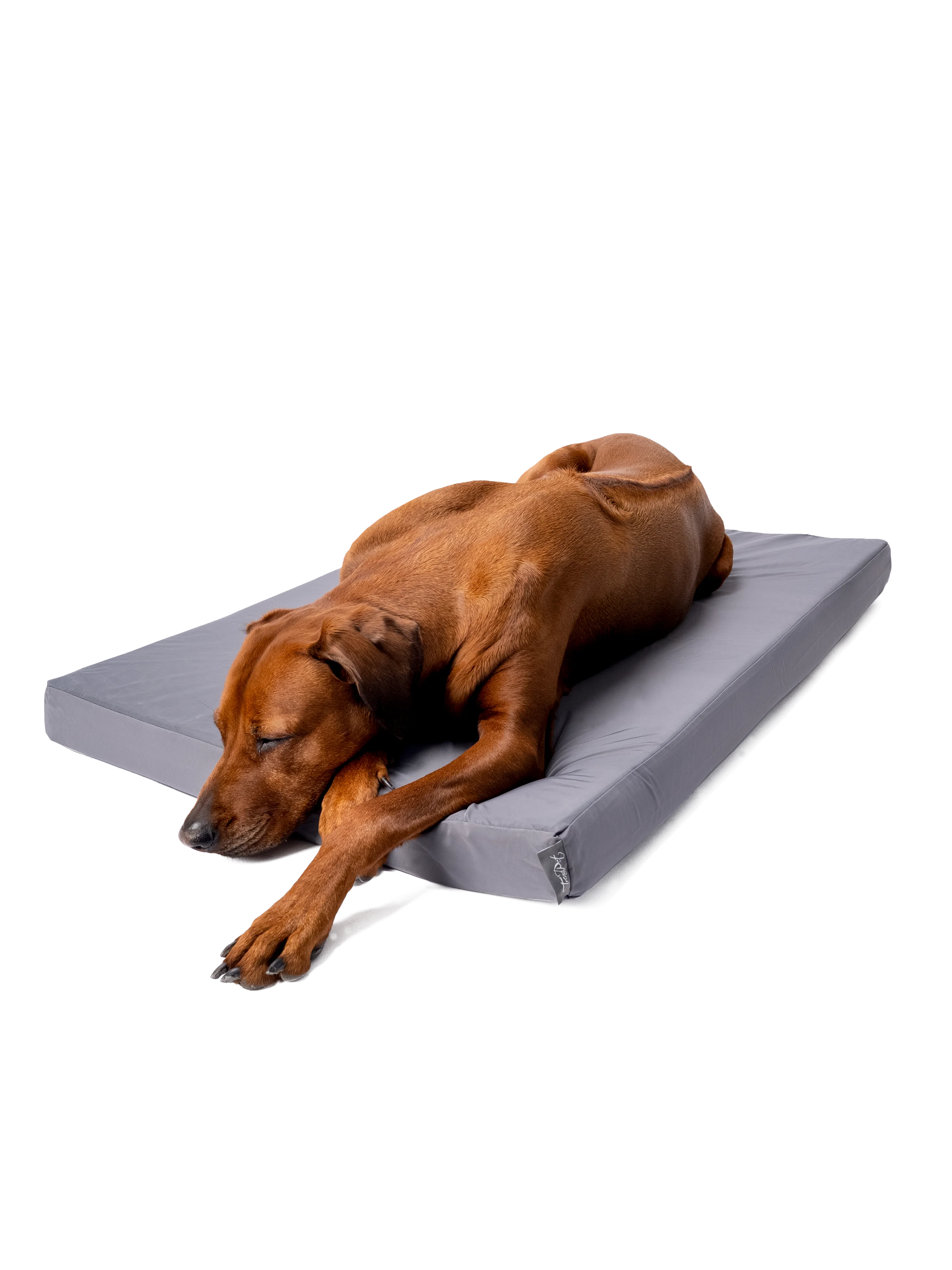 VitaMedog Wet - 7 cm