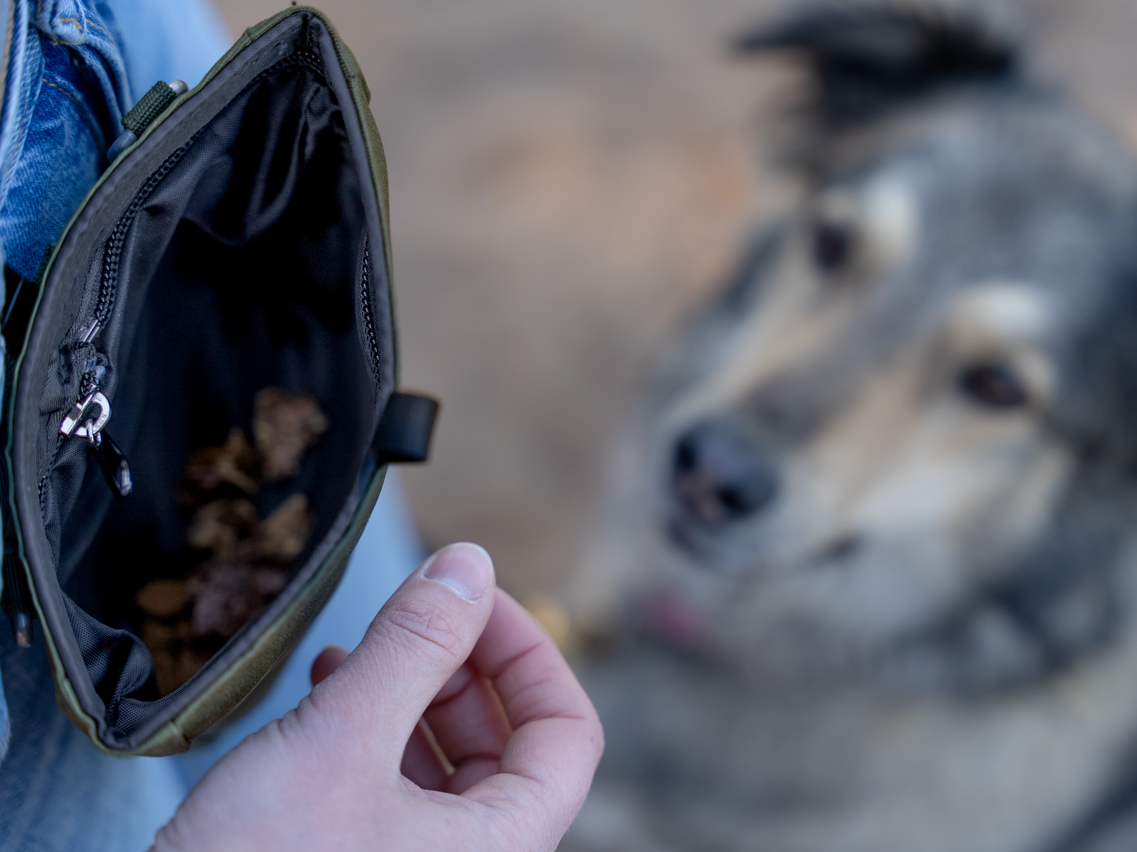 Snaxx Leckerlibeutel von TrendPet