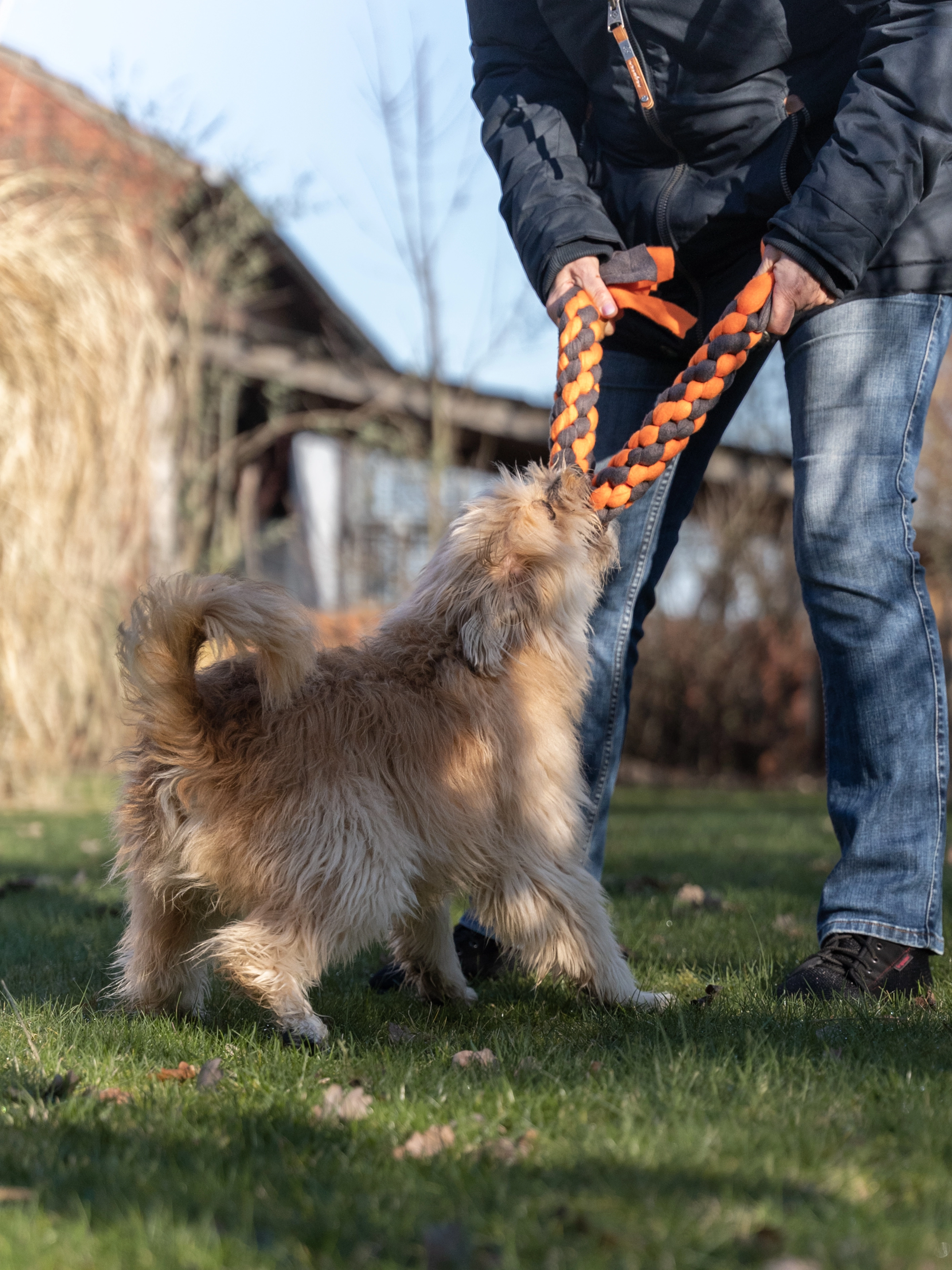 Zergel Hundespielzeug von TrendPet