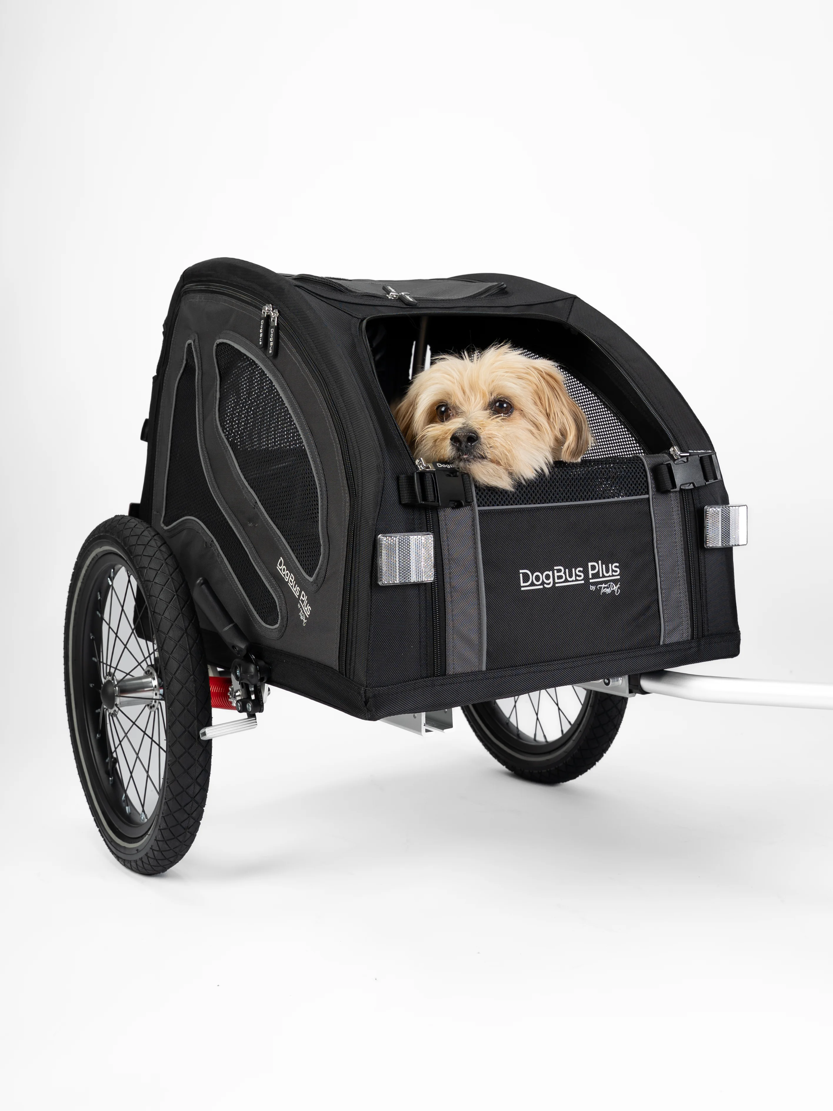 DogBus Plus S