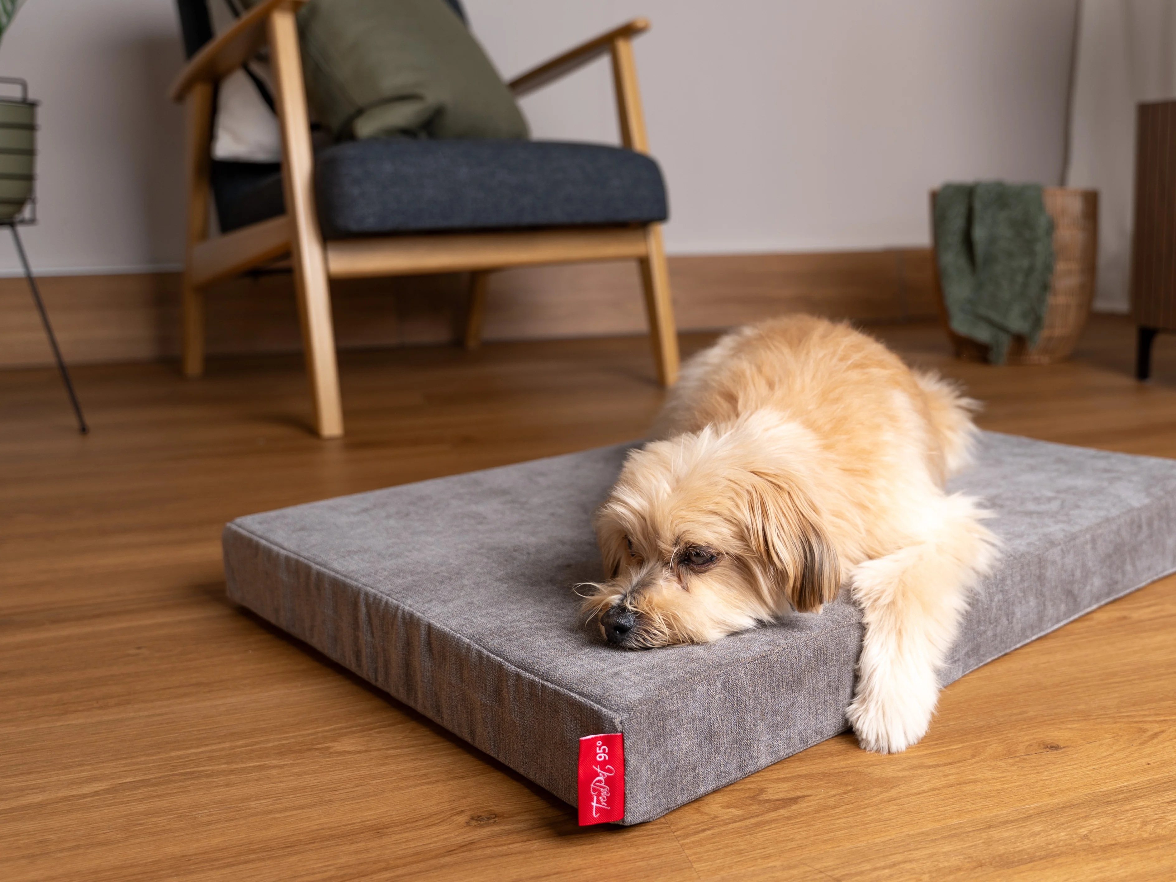 VitaMedog 95° - 7 cm