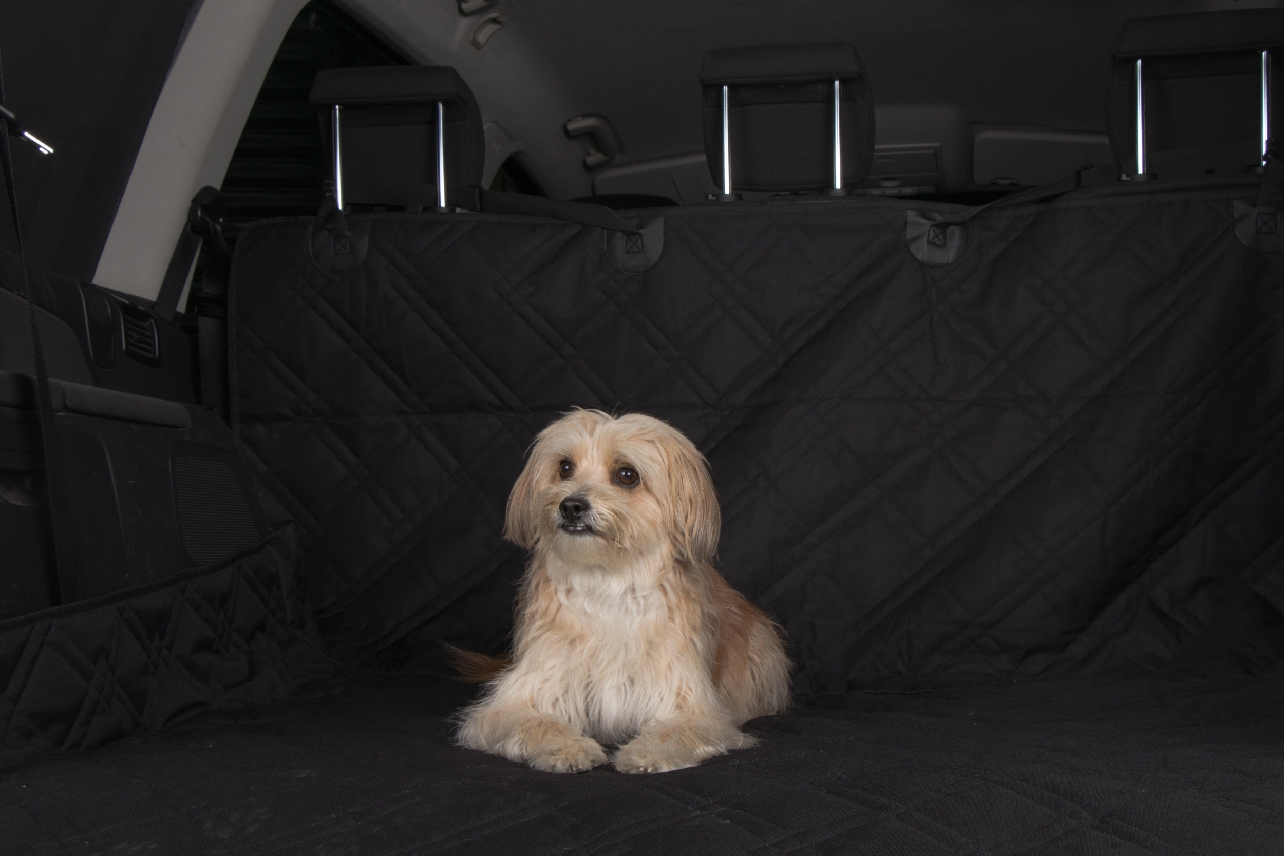 TrendPet Seatcover fürs Auto