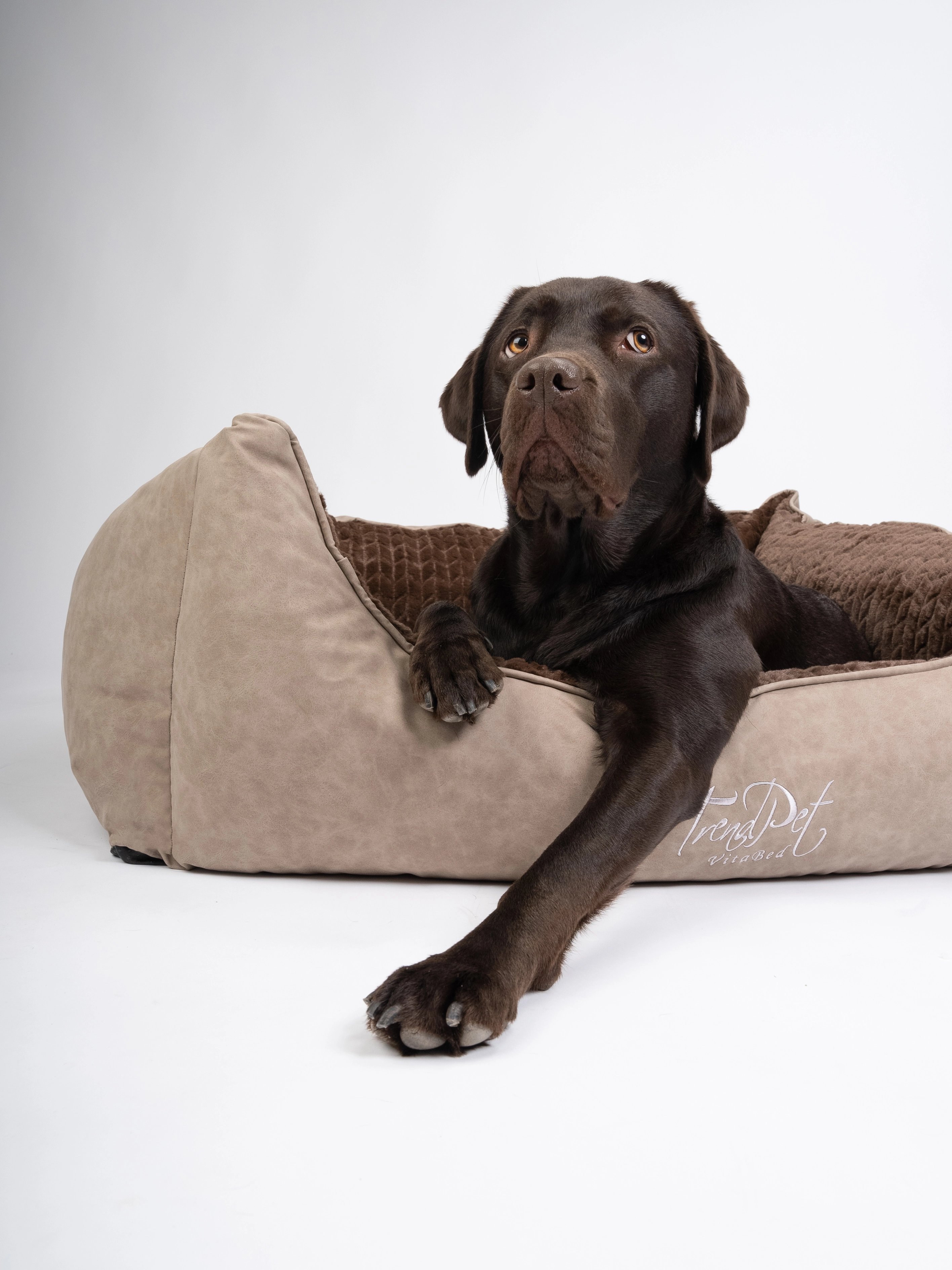 Hundebett VitaBed Style von TrendPet