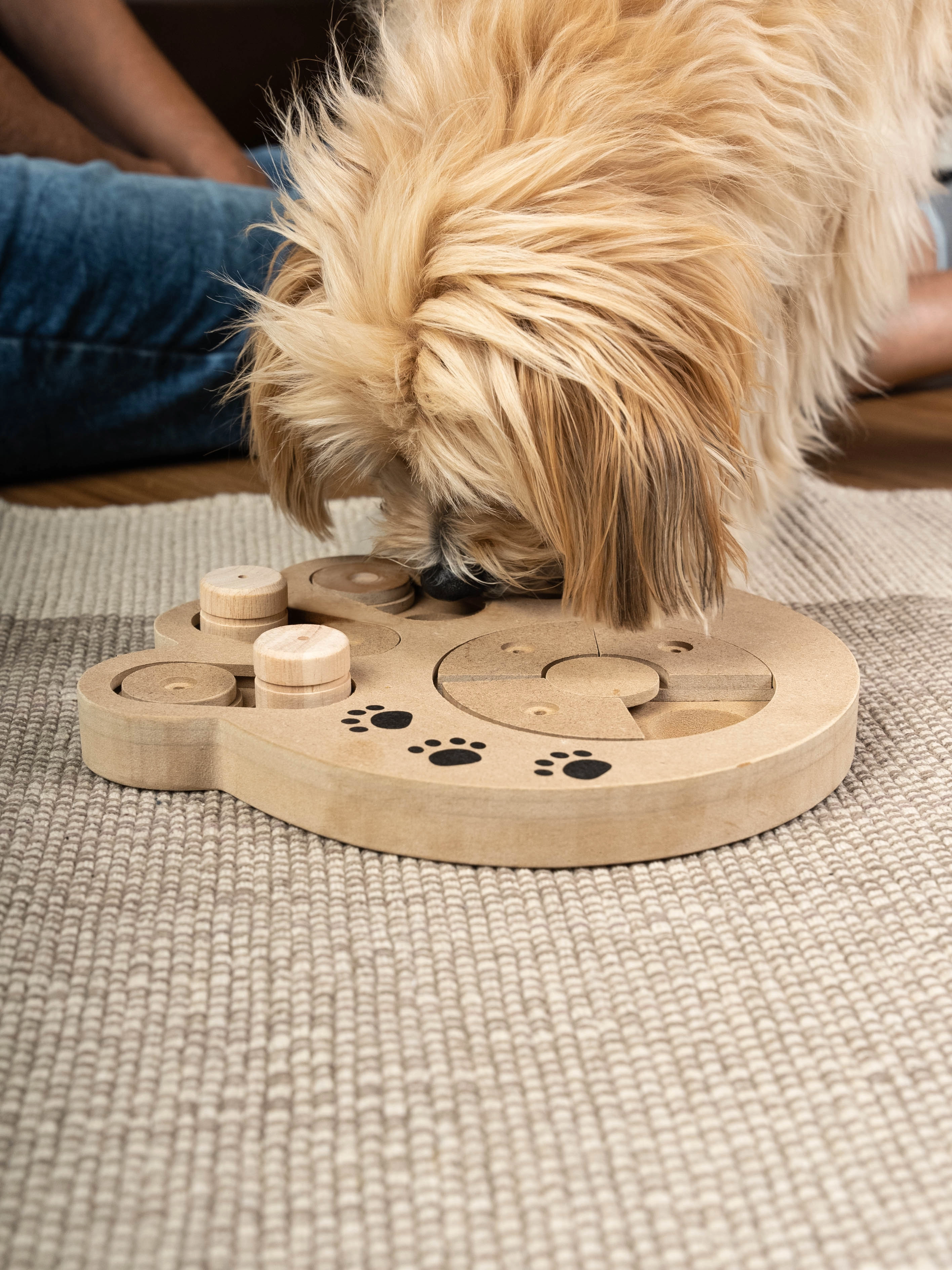 Intelli von TrendPet