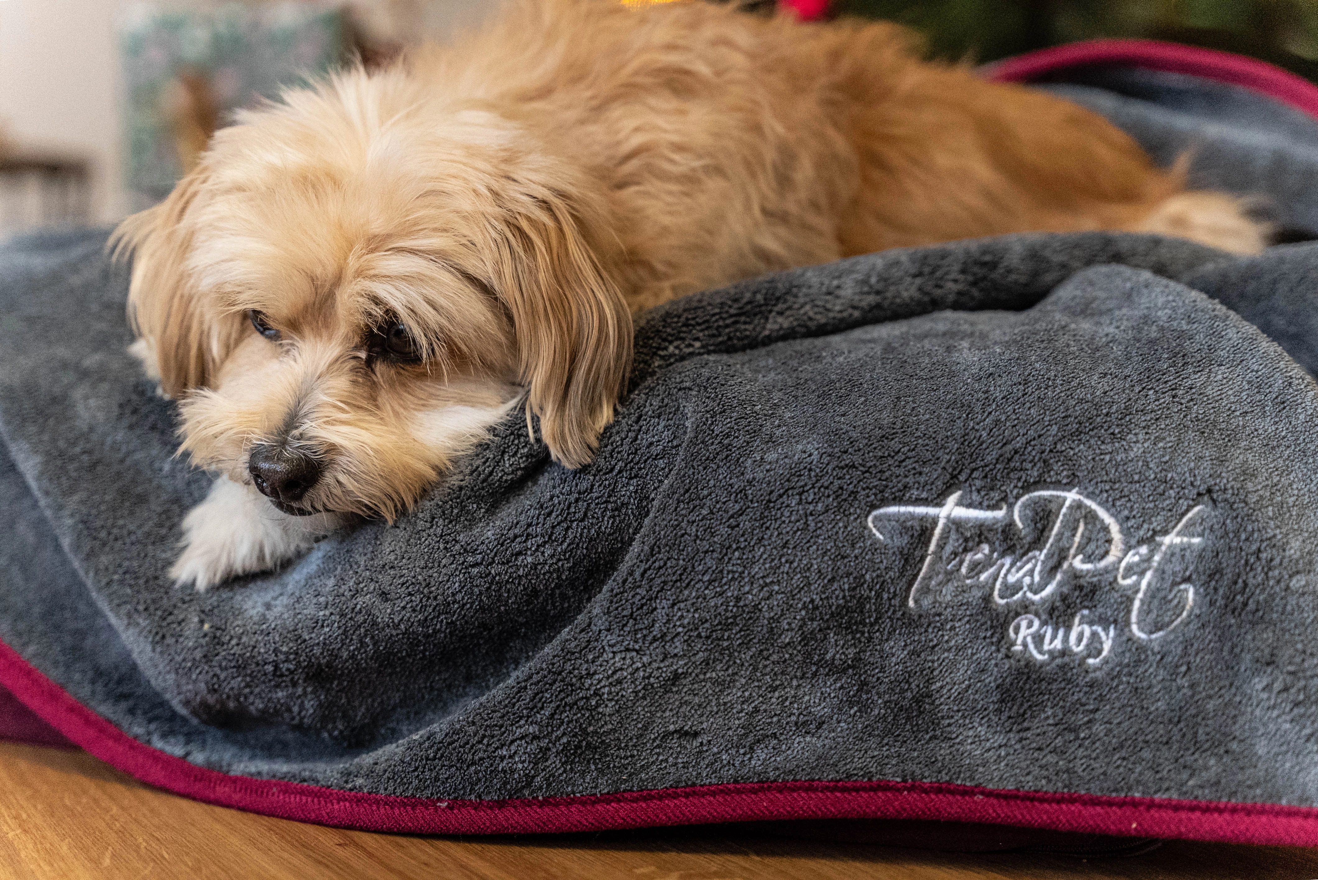 Rubx Kuscheldecke und Trocknungsdecke von TrendPet