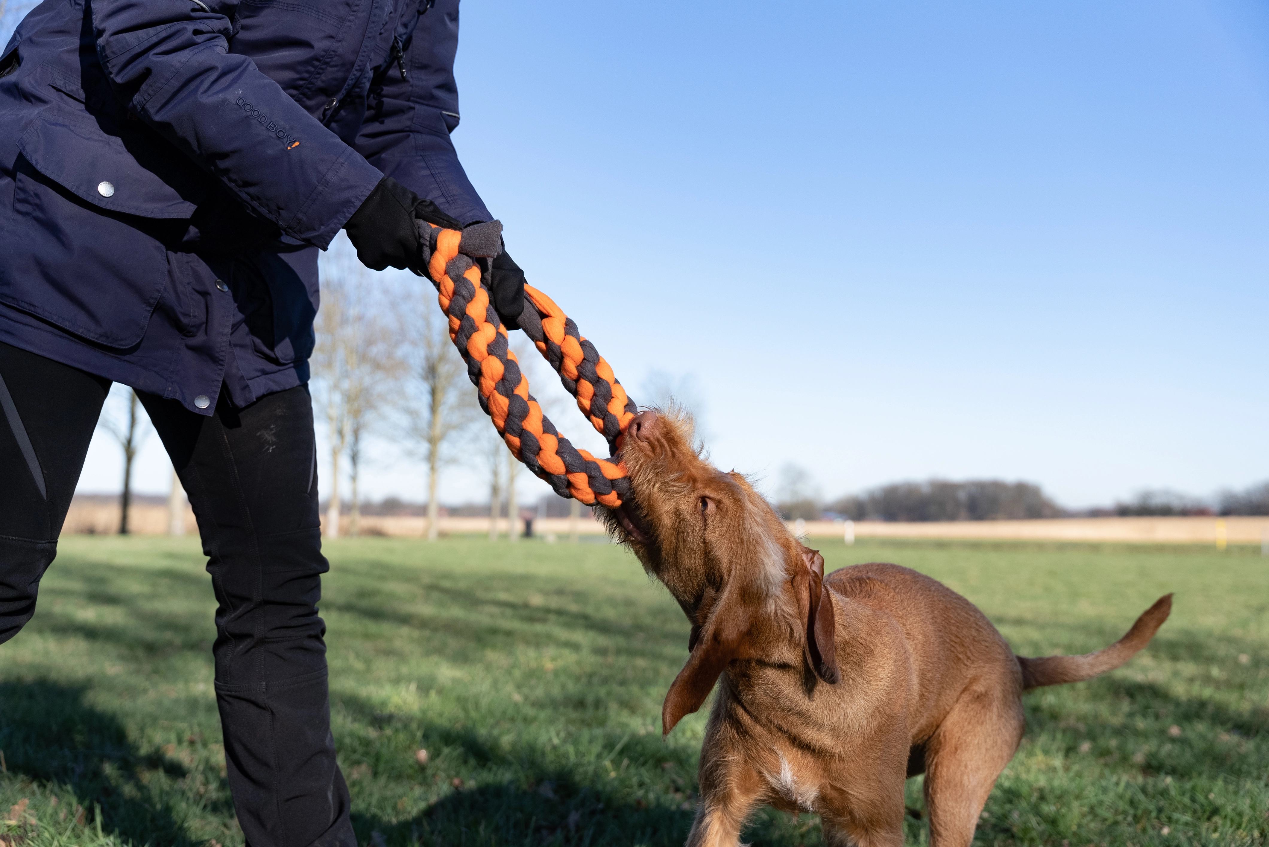 Zergel Hundespielzeug von TrendPet