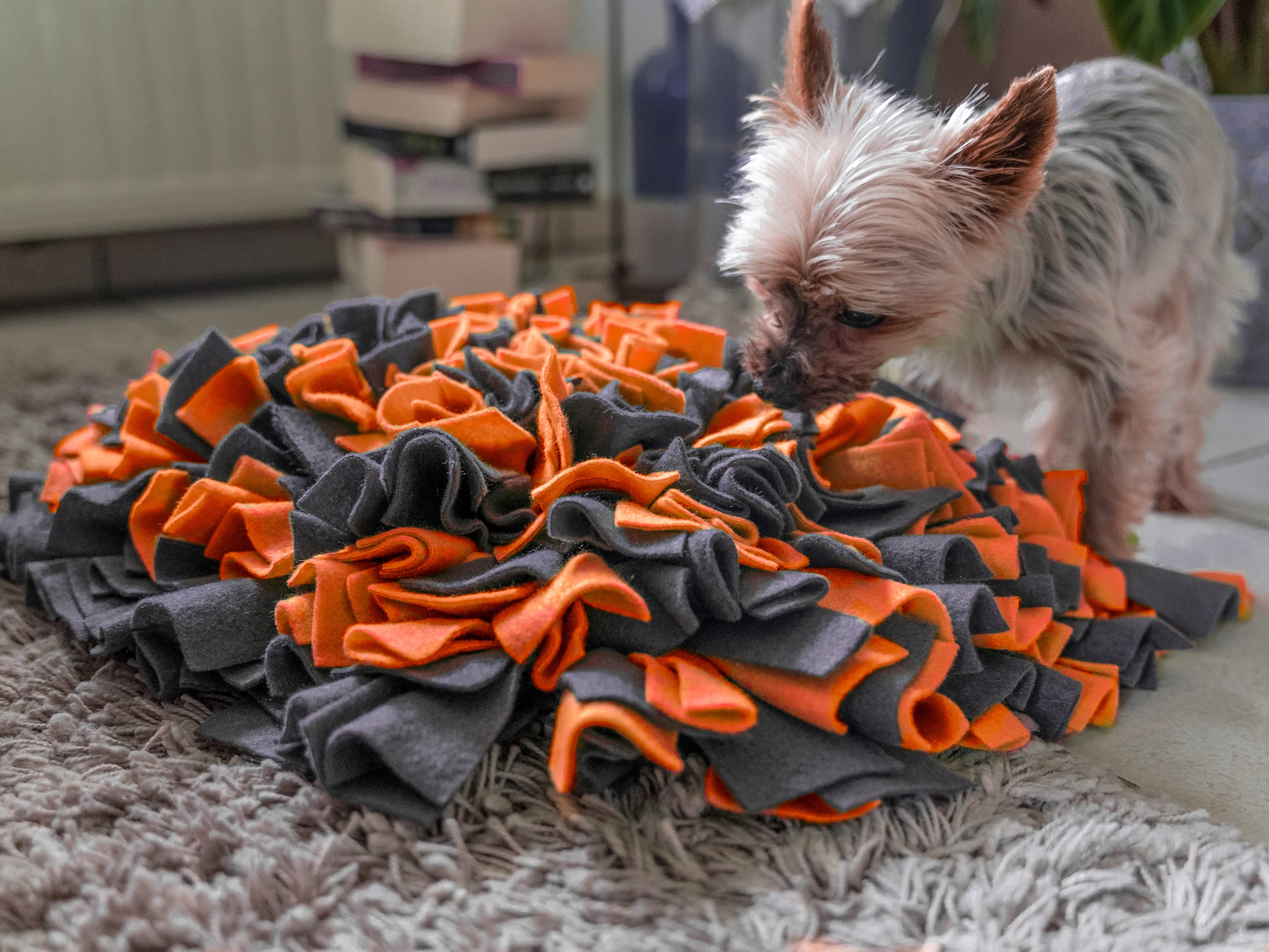 Schnueffelteppich von TrendPet