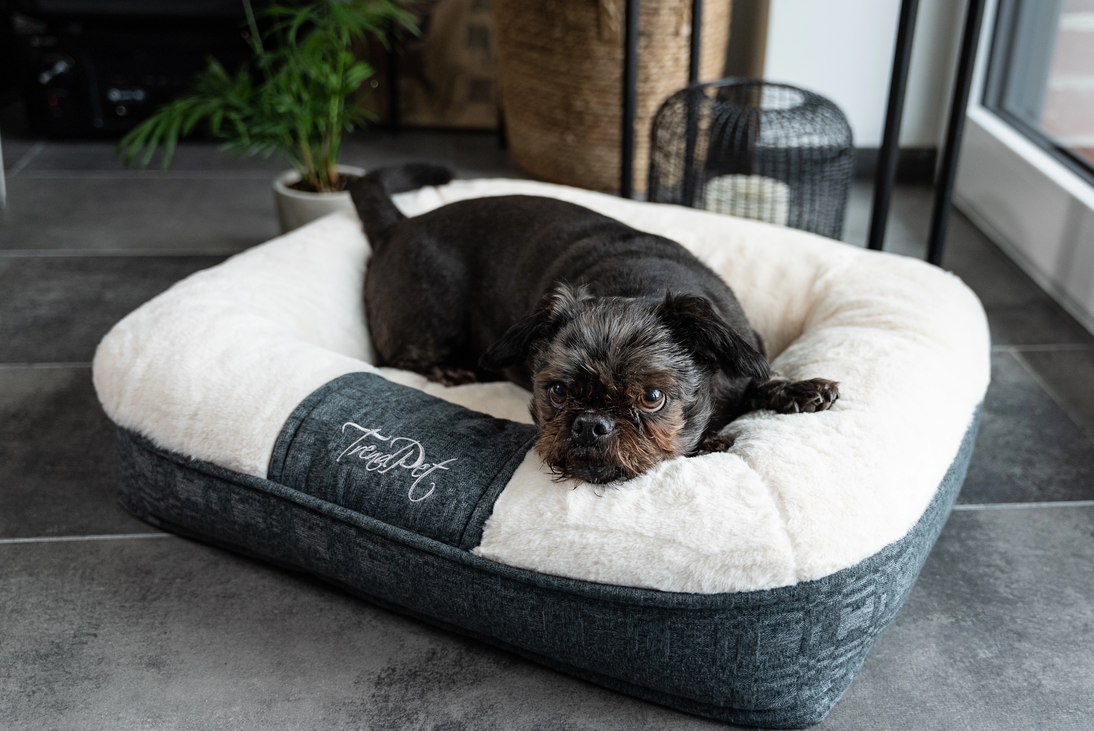 LunaLounge von TrendPet