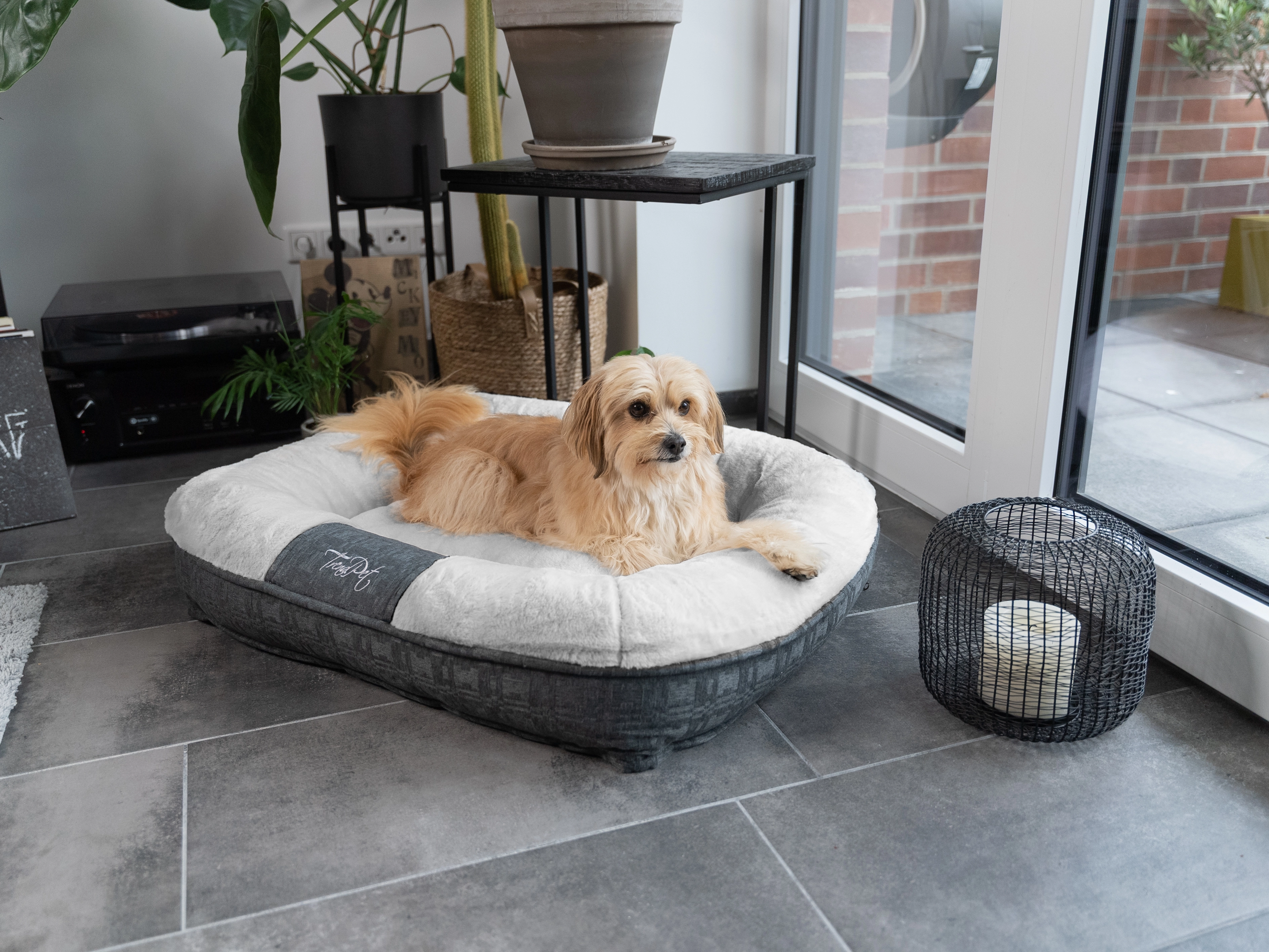 LunaLounge von TrendPet